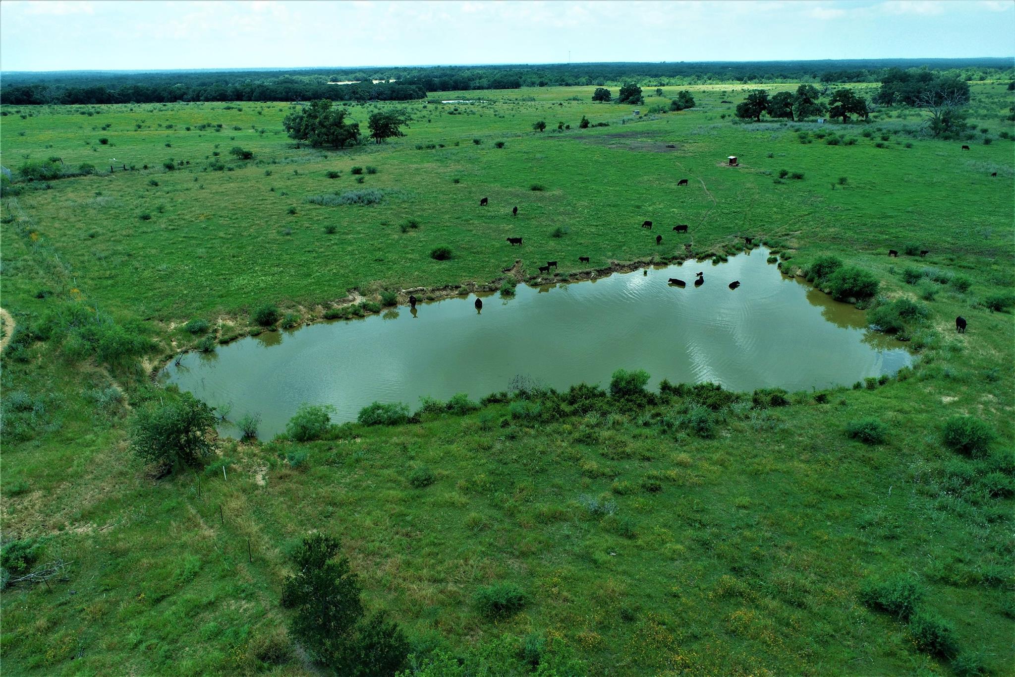 Tbd Cannon Snap Rd Property Photo 3