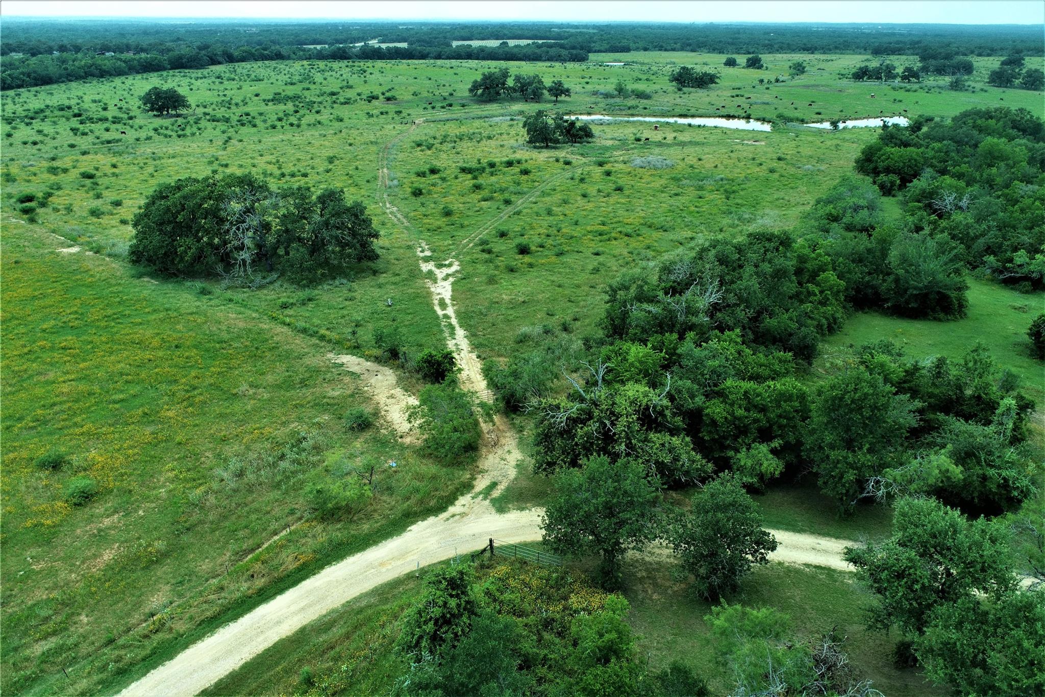 Tbd Cannon Snap Rd Property Photo 4