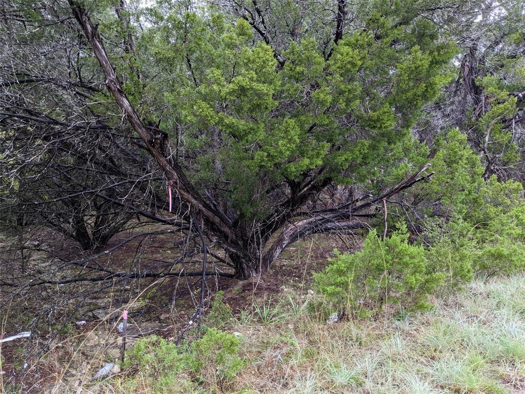 21001 Buena Vista Property Photo 4