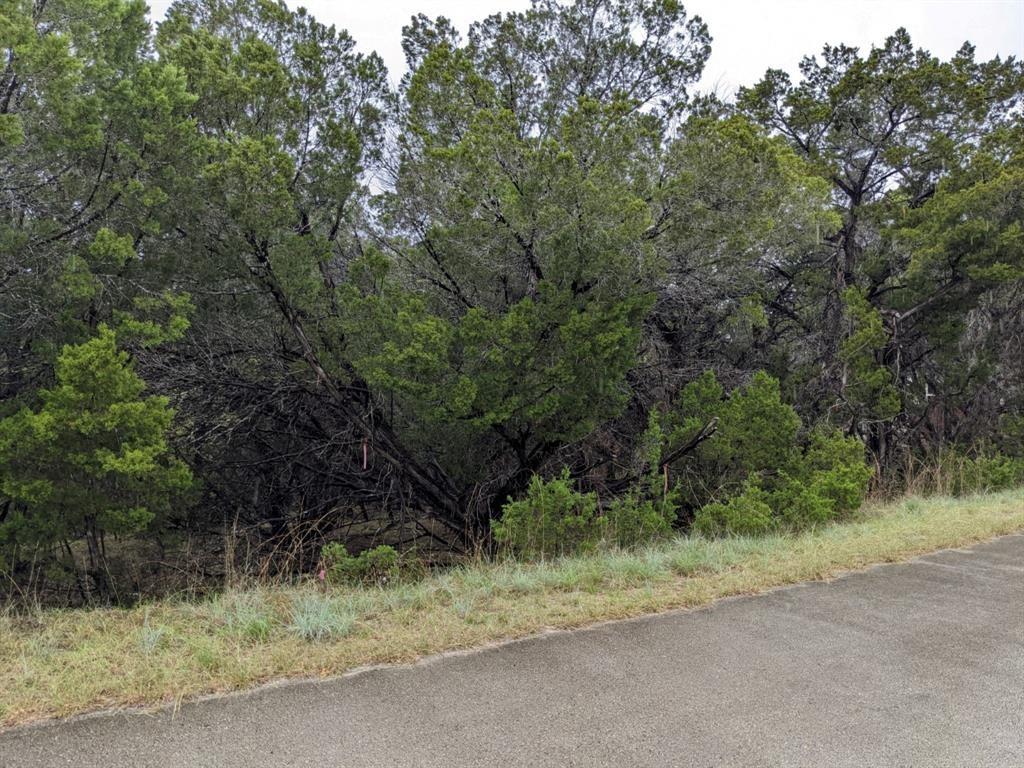 21001 Buena Vista Property Photo 7