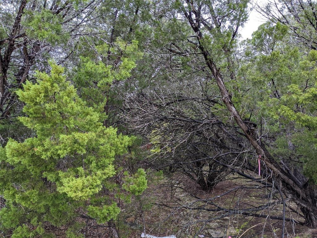 21001 Buena Vista Property Photo 8
