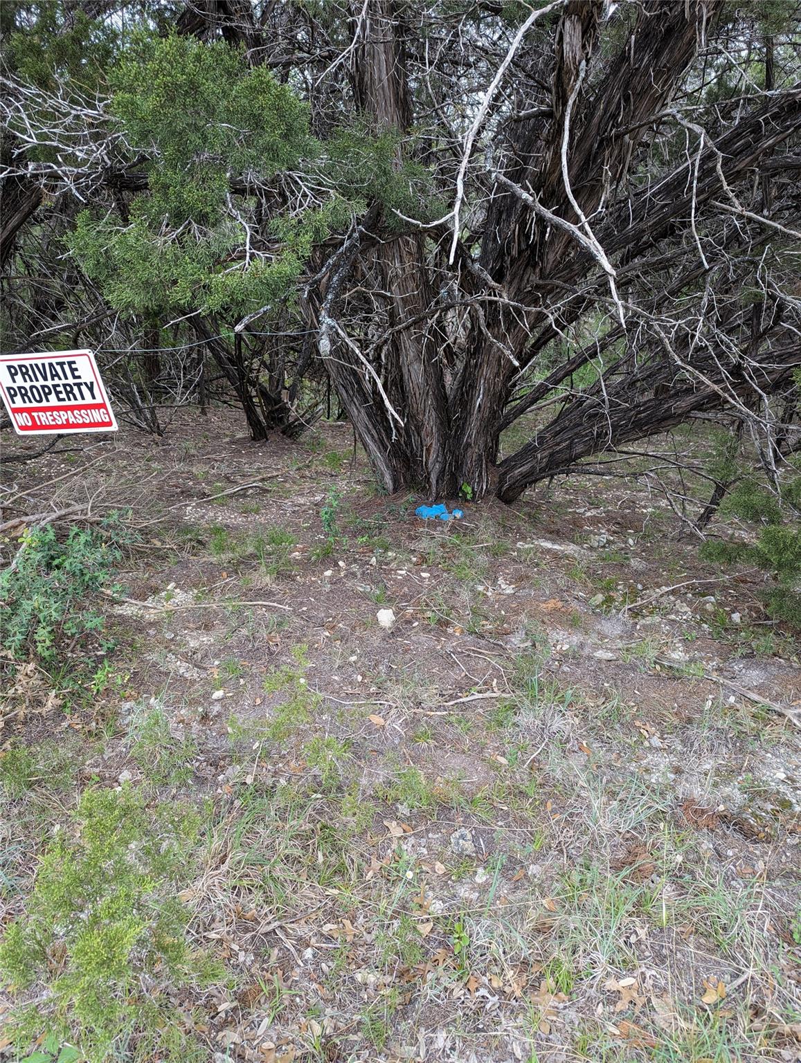 21001 Buena Vista Property Photo 9