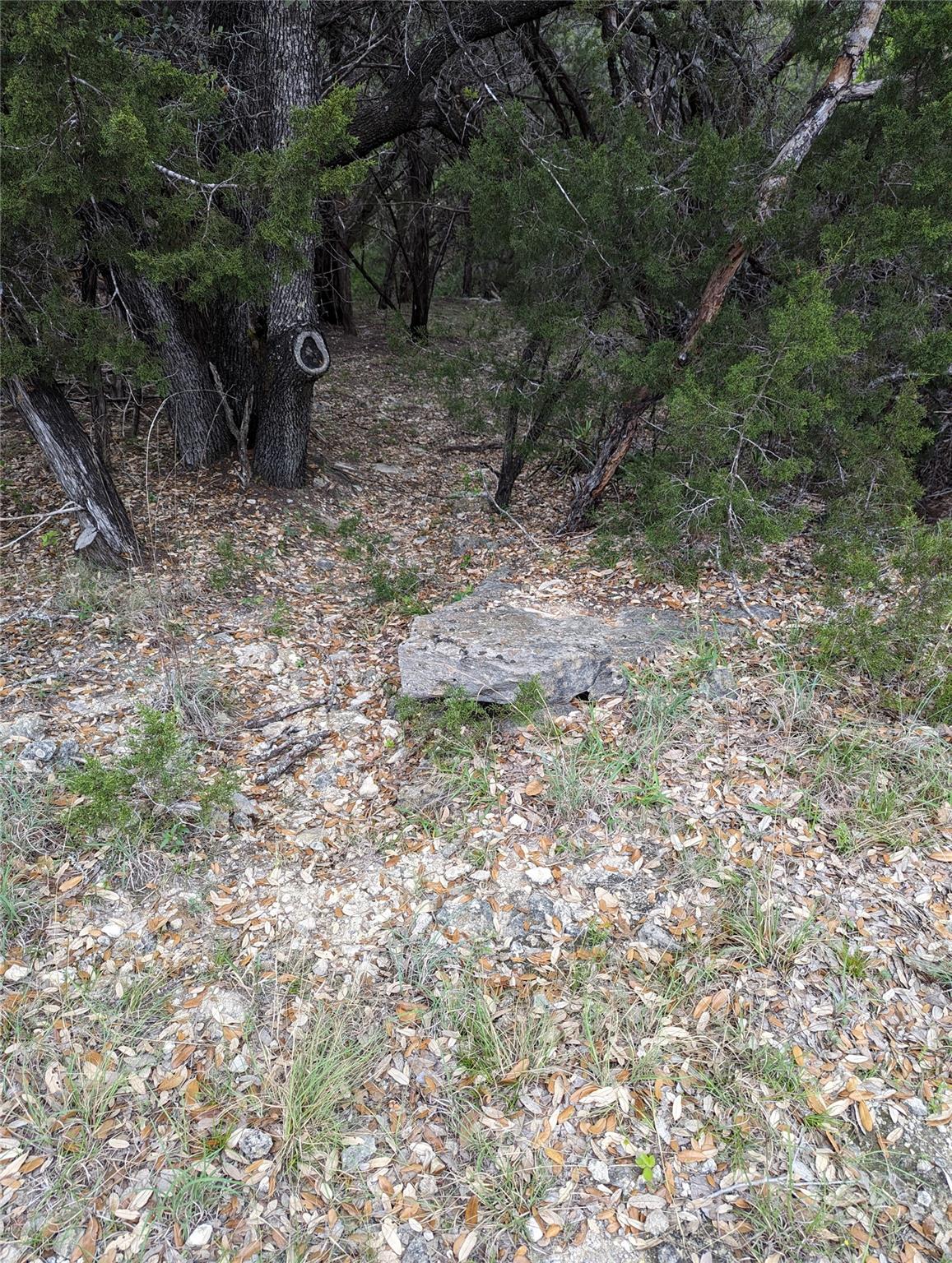 21001 Buena Vista Property Photo 10