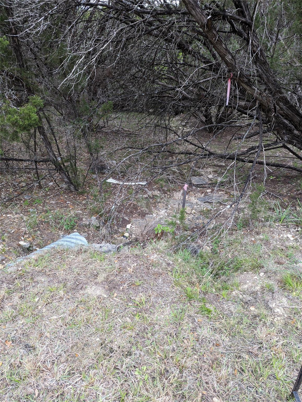 21001 Buena Vista Property Photo 11