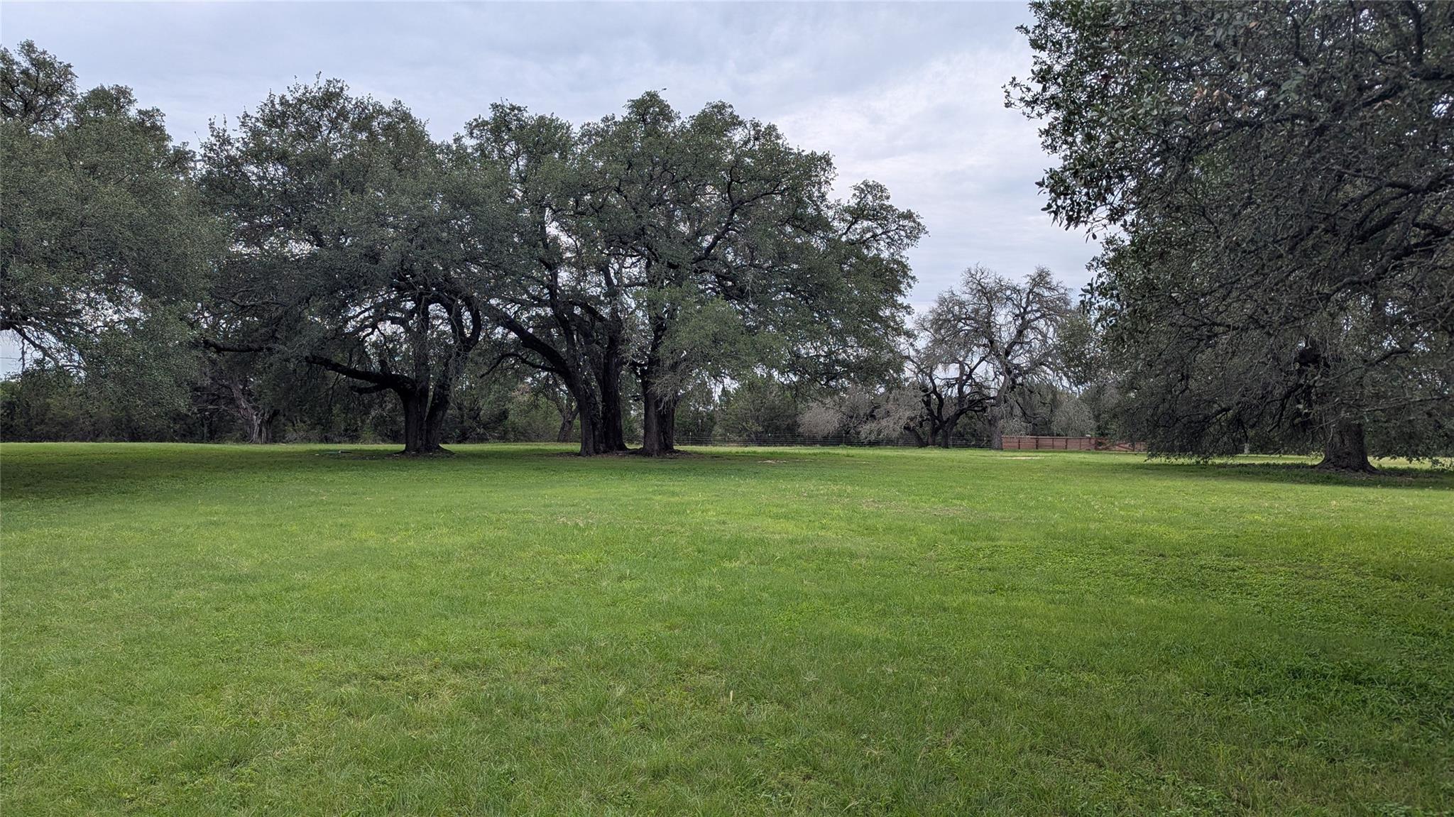 7616708 Property Photo 19