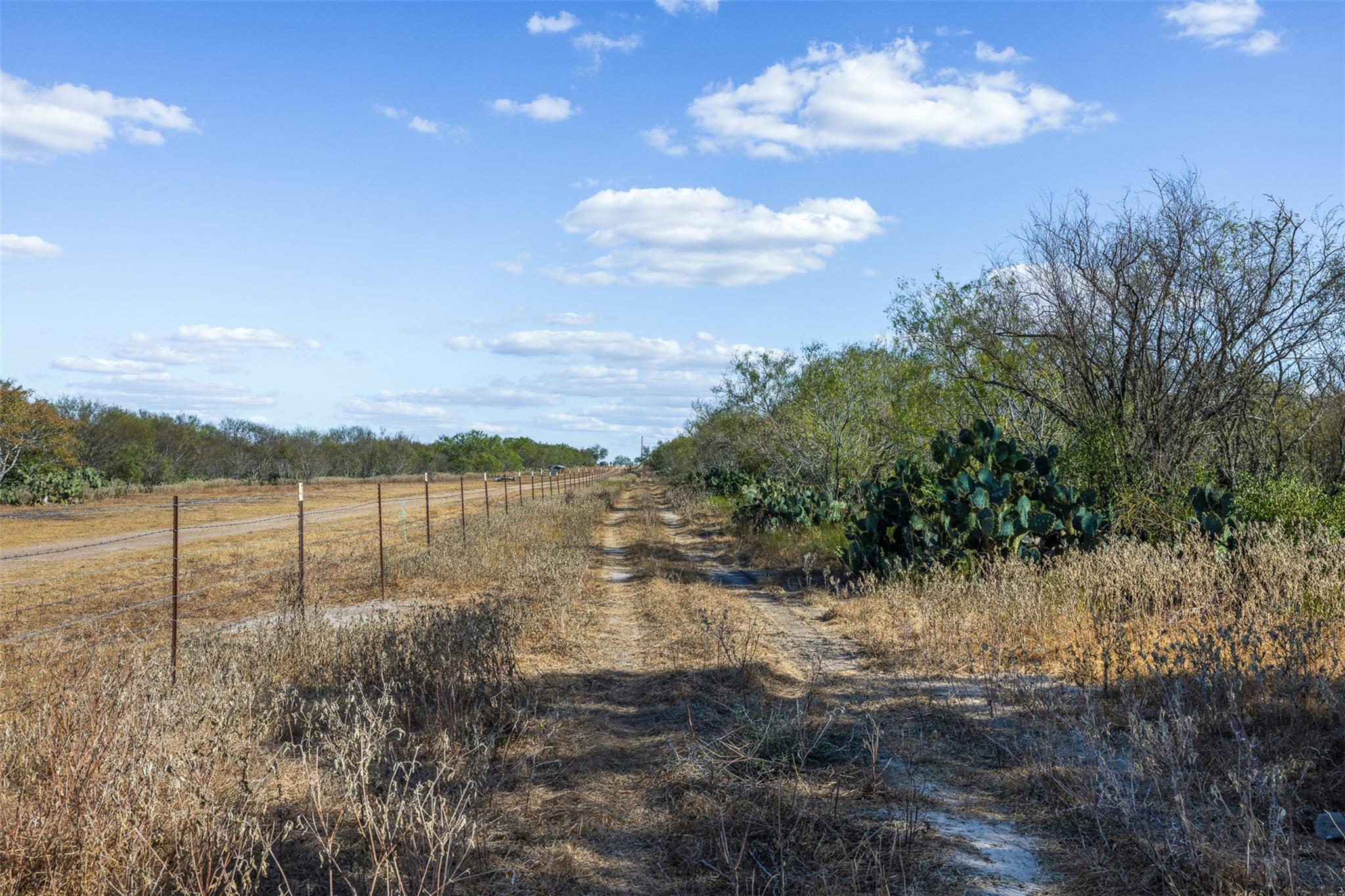 Lot 12 County Road 211 None Property Photo 8
