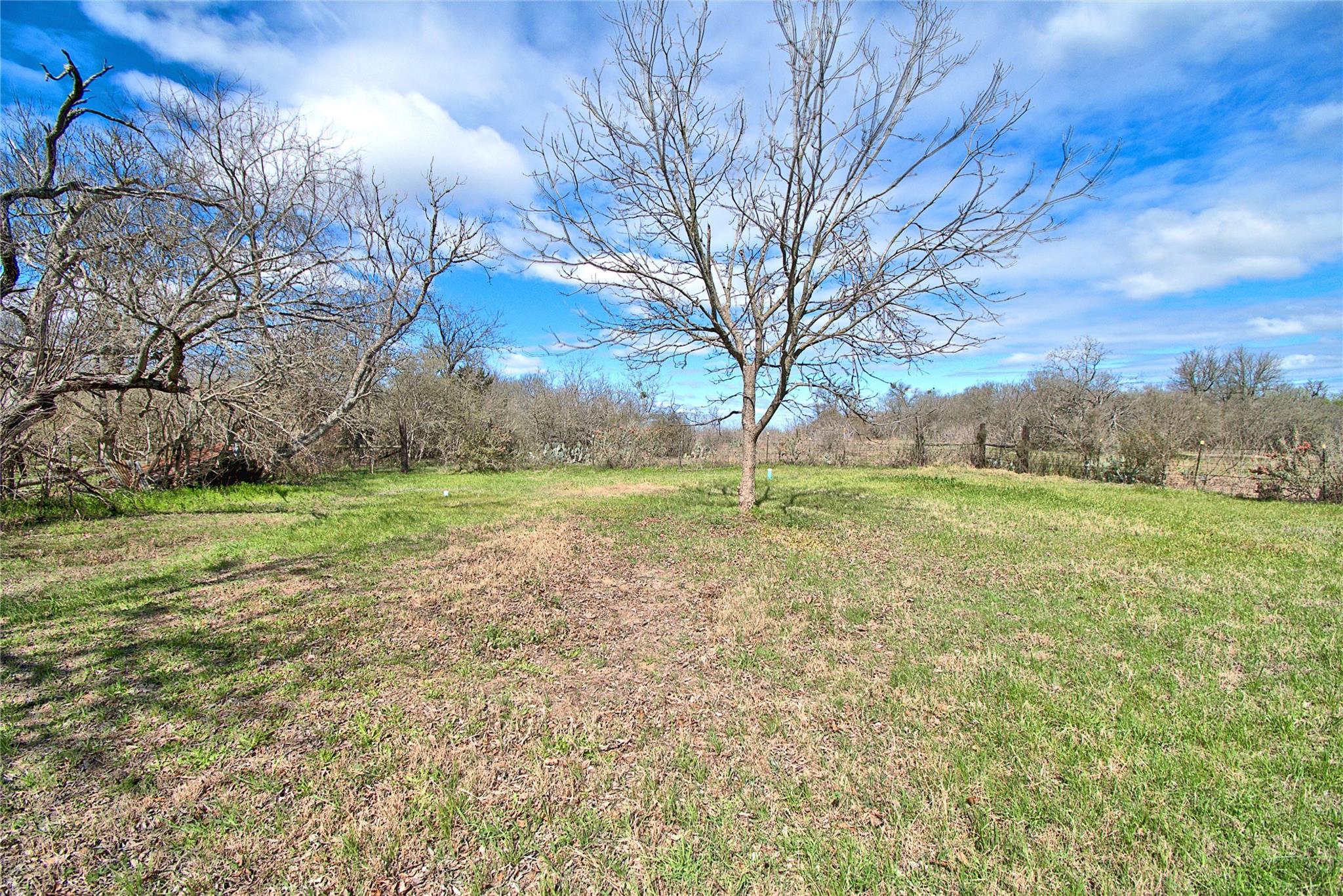 8402 Elroy Rd Property Photo 14