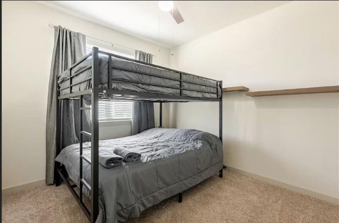 141 Parryi Cv Property Photo 26