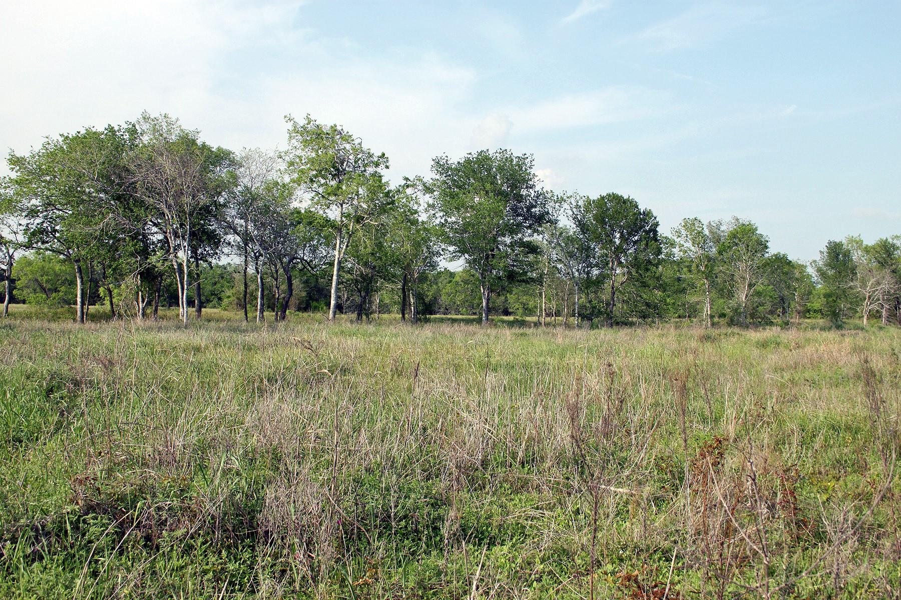 3223 Old Kelley Rd Property Photo 4