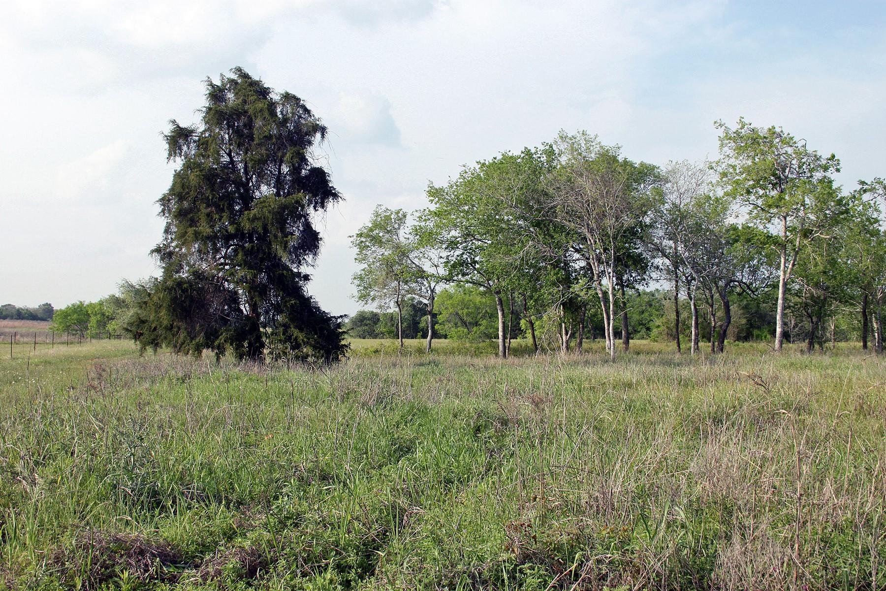 3223 Old Kelley Rd Property Photo 5