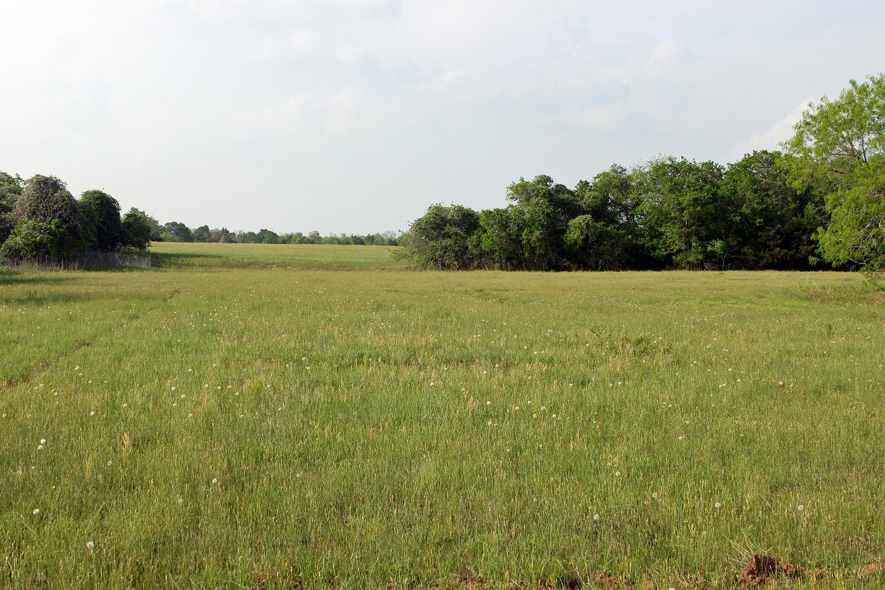 3223 Old Kelley Rd Property Photo 6