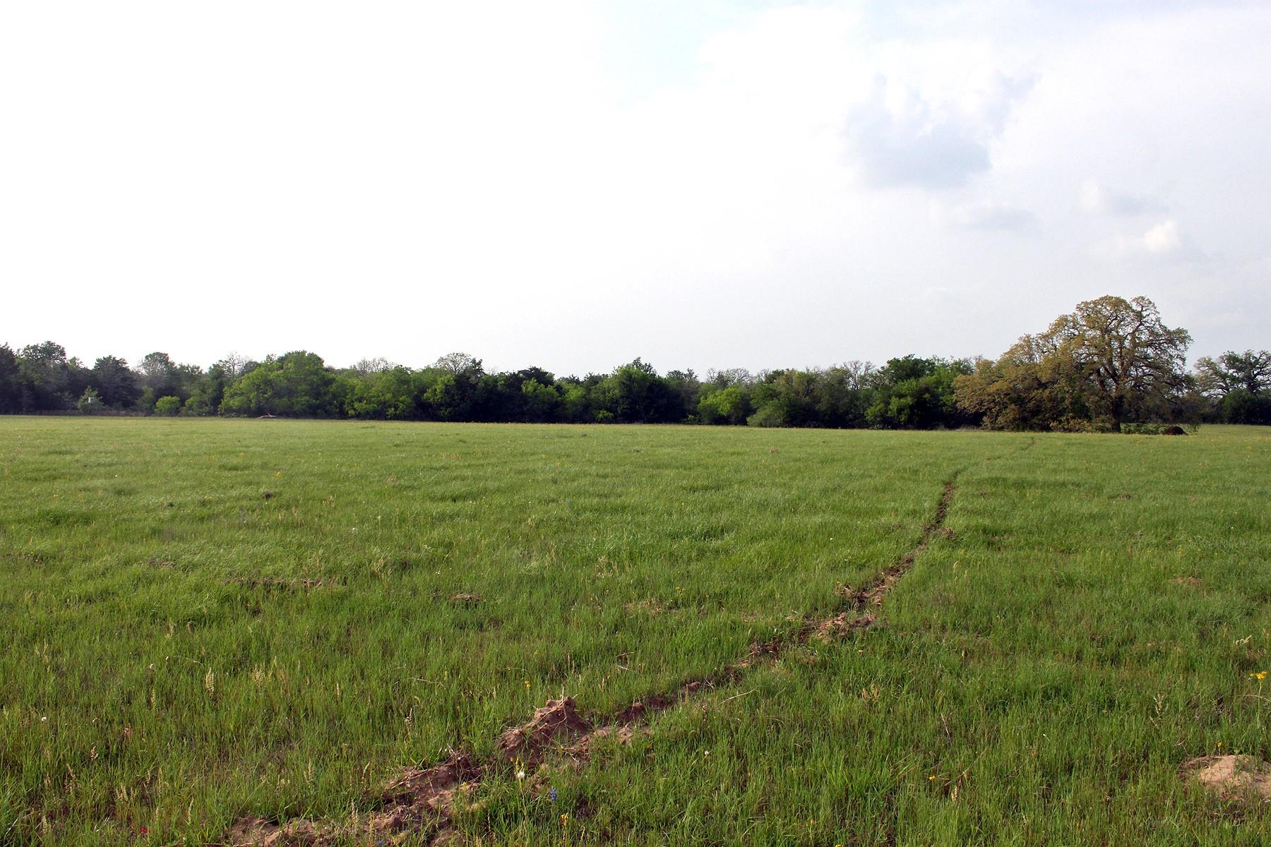 3223 Old Kelley Rd Property Photo 7