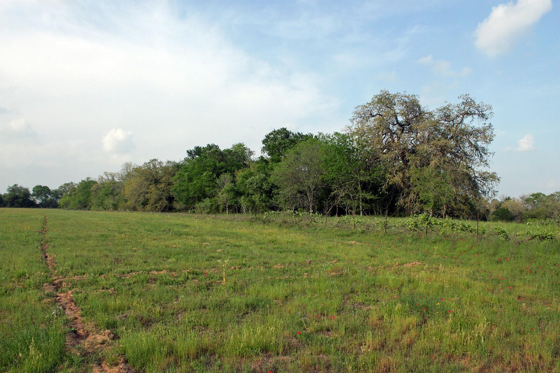 3223 Old Kelley Rd Property Photo 8