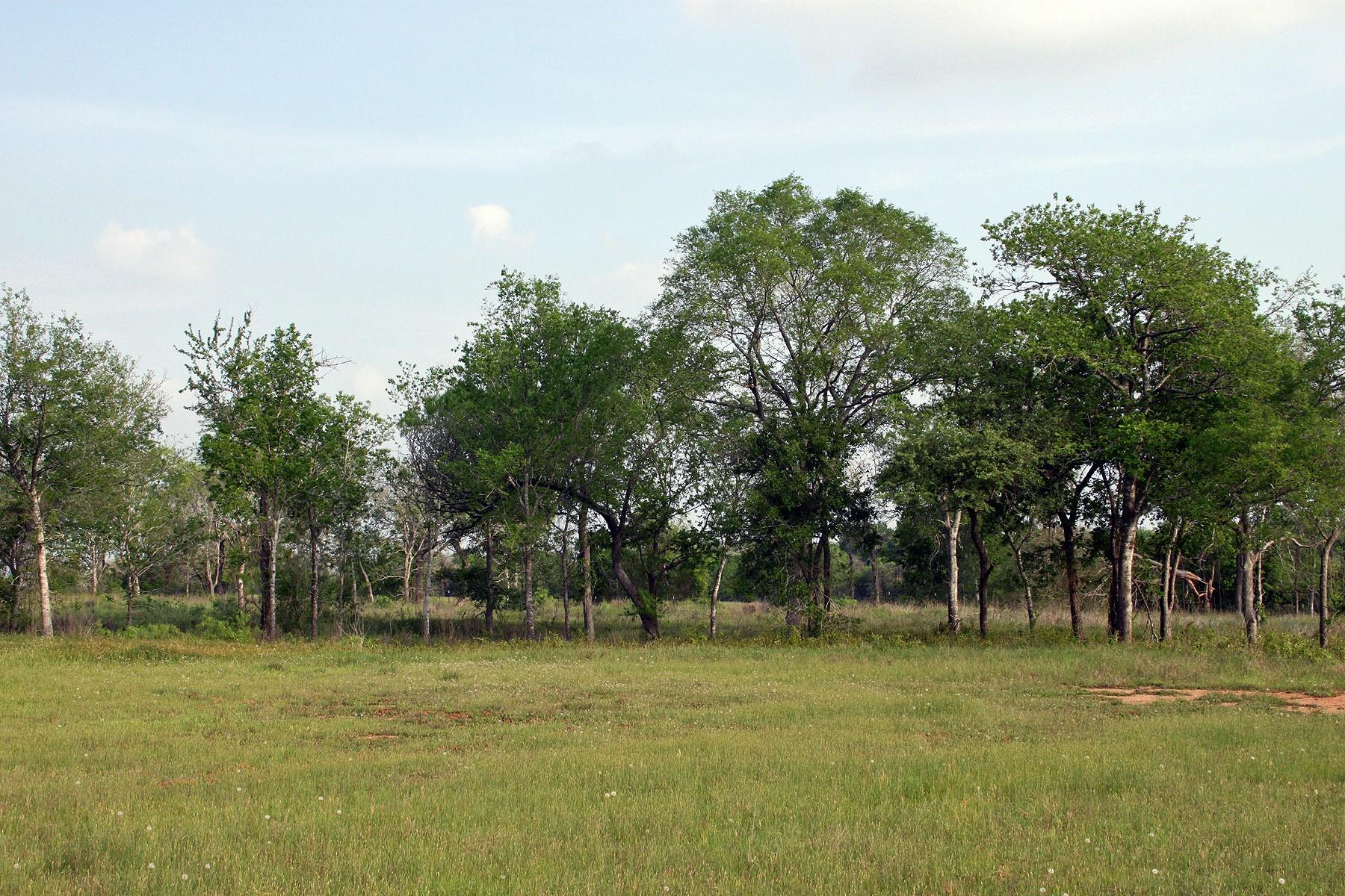 3223 Old Kelley Rd Property Photo 12