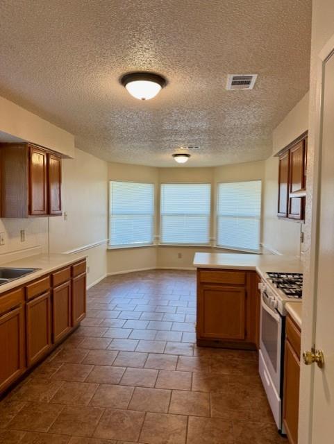 16815 Whitebrush Loop Property Photo 6
