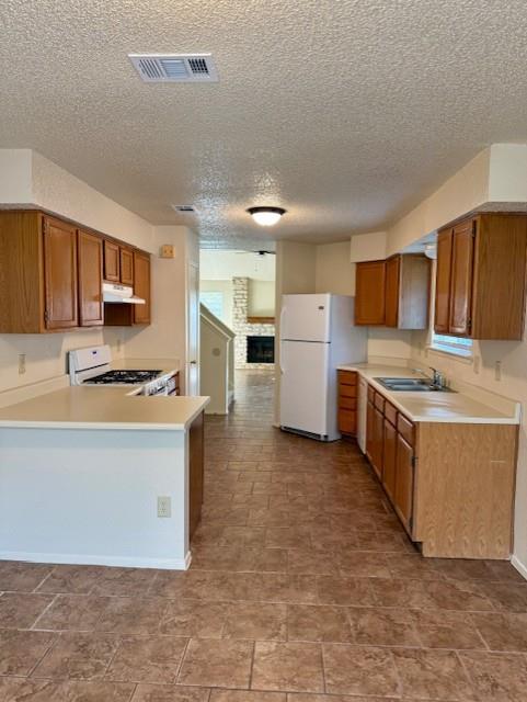 16815 Whitebrush Loop Property Photo 7