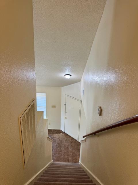 16815 Whitebrush Loop Property Photo 14