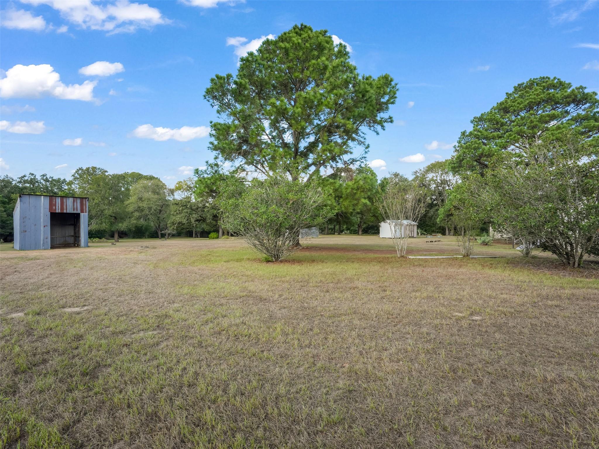 133 Pine Valley Loop Property Photo 26