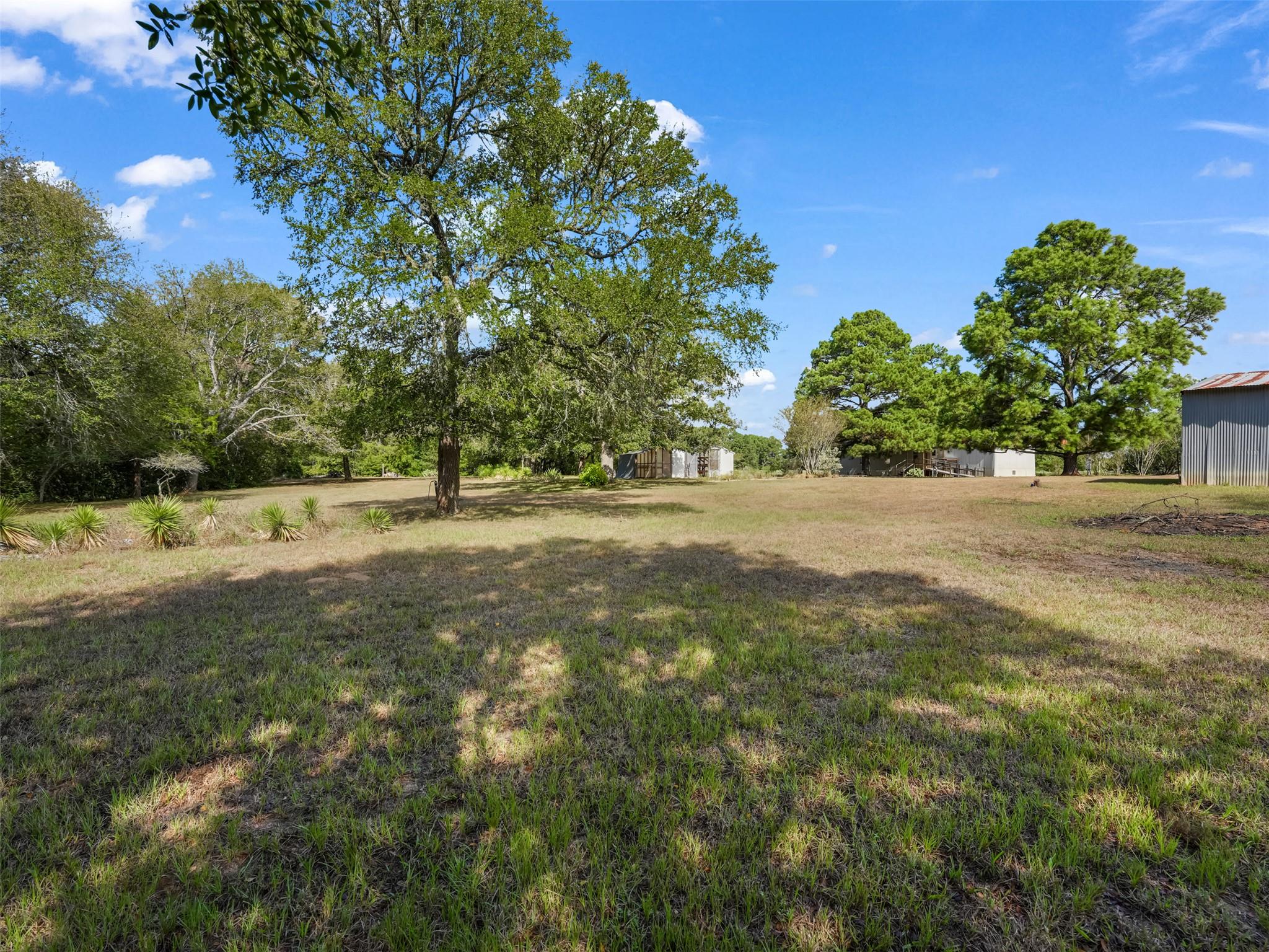 133 Pine Valley Loop Property Photo 29