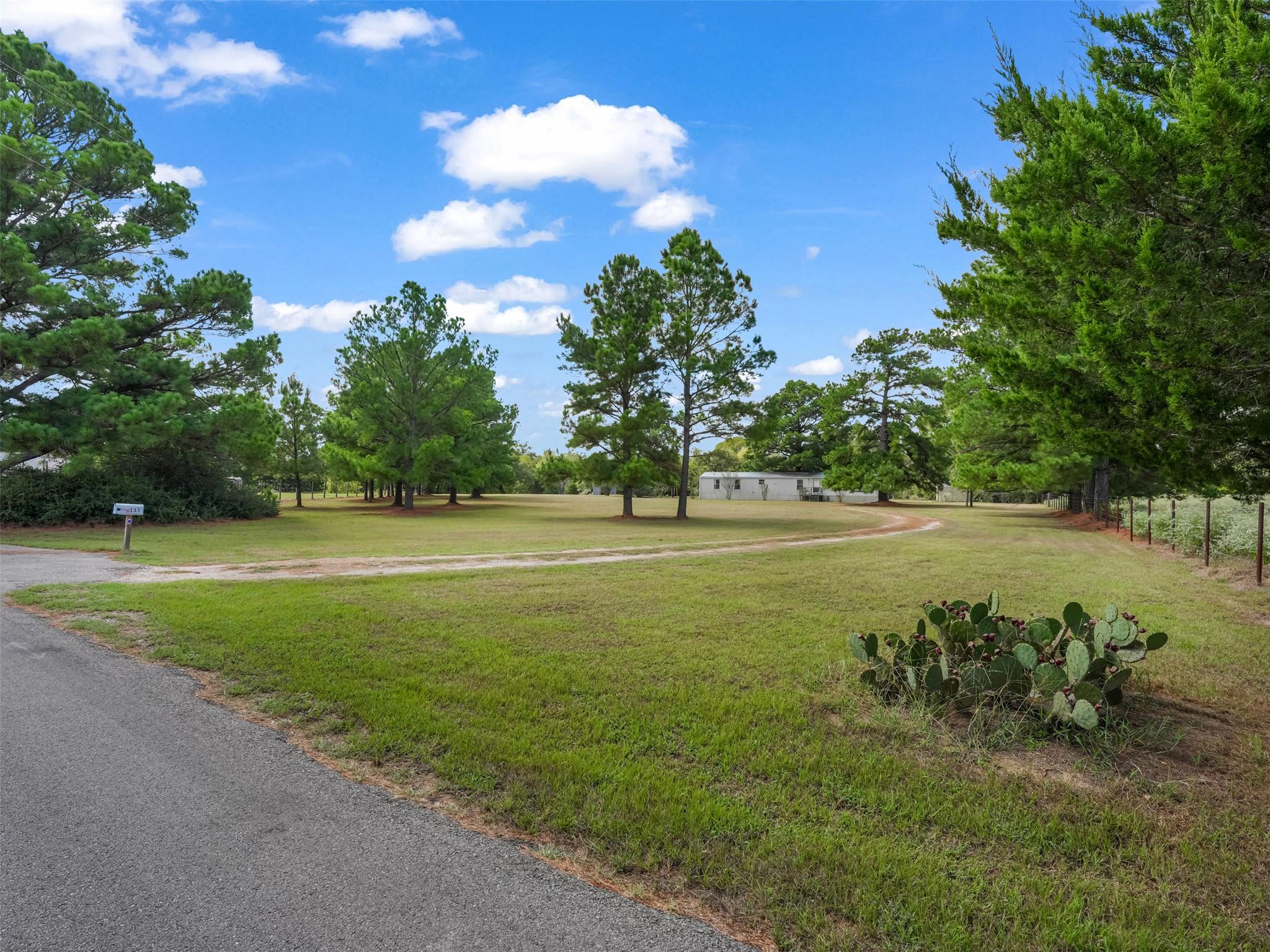 133 Pine Valley Loop Property Photo 31