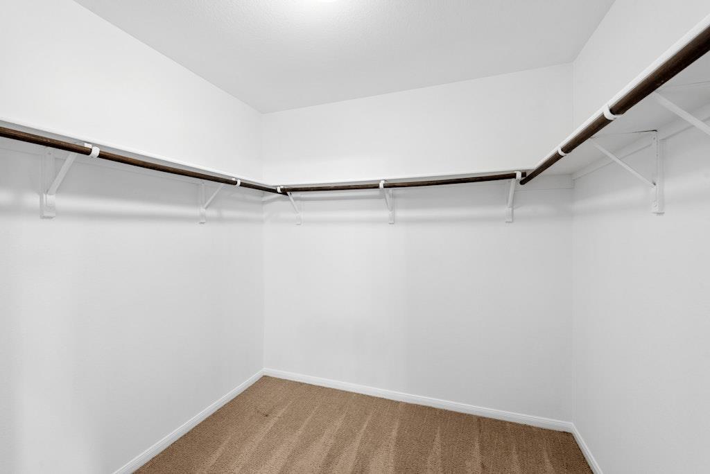 11305 Malta Dr Property Photo 19