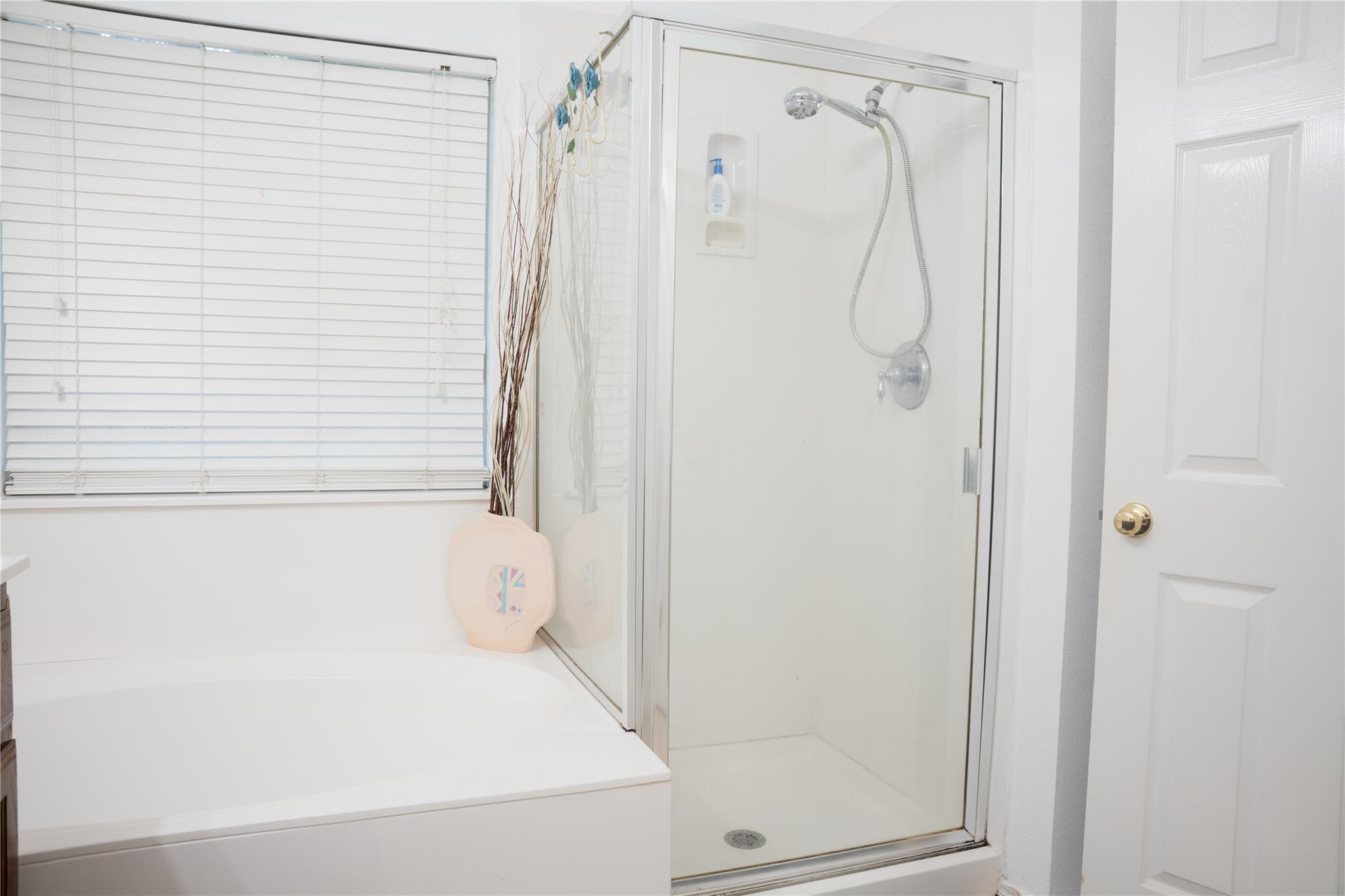 9305 Pioneer Forest Dr Property Photo 16