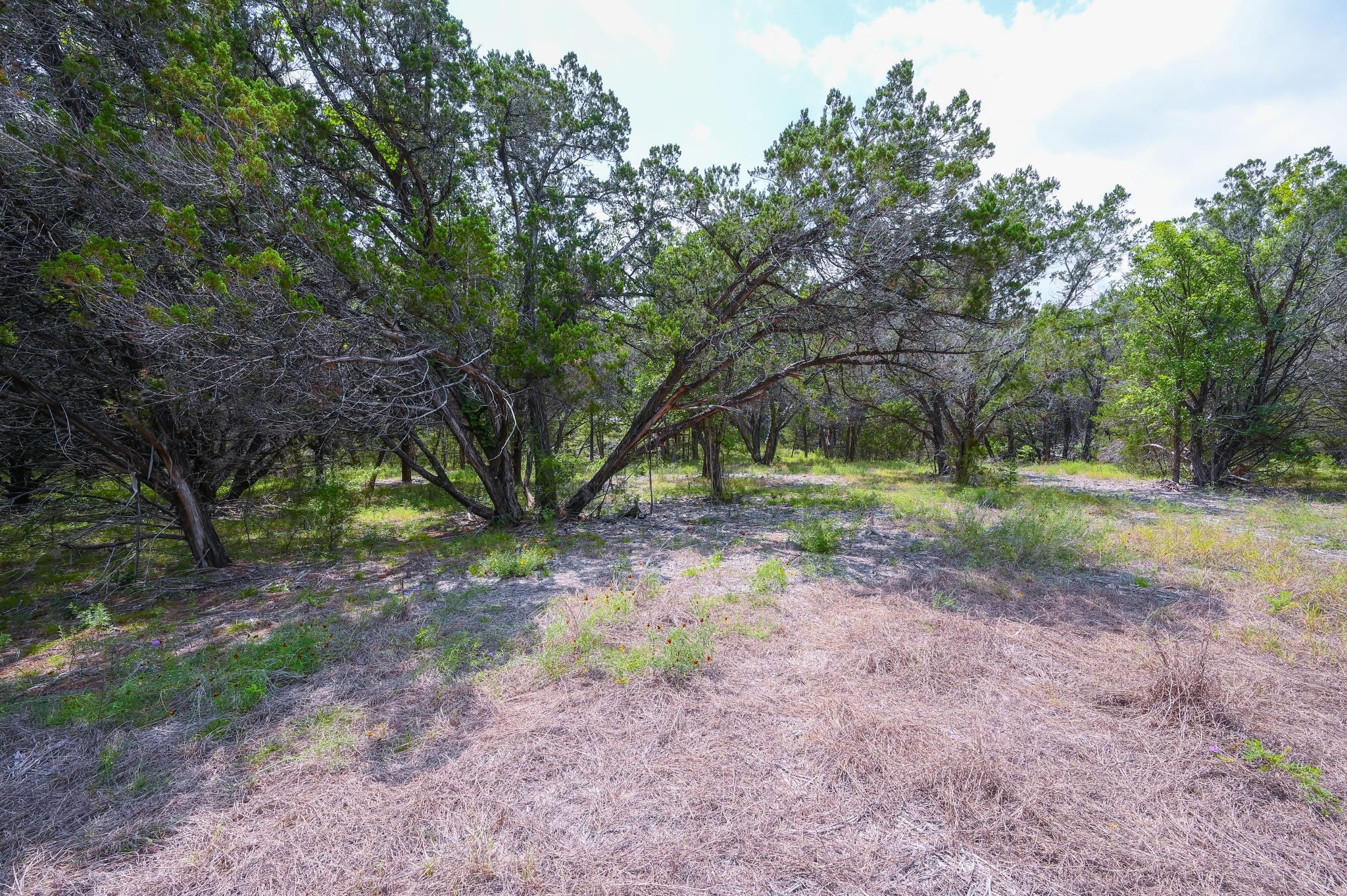 401 Mountain Crest Dr Property Photo 14
