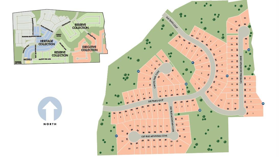 220 Sue Peaks Loop Property Photo 18