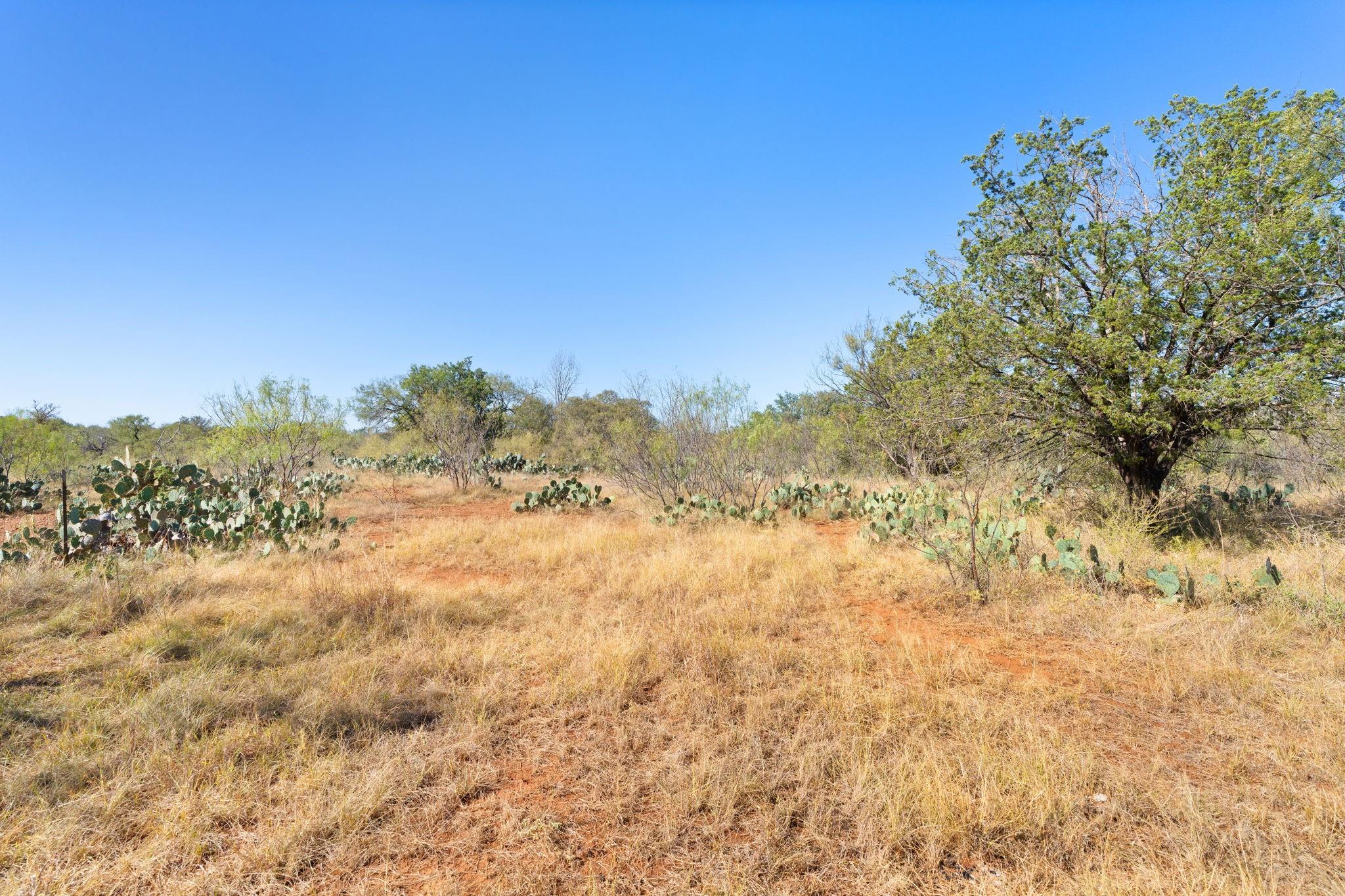Tbd Sandy Mountain Dr. Tract 1 None Property Photo 16