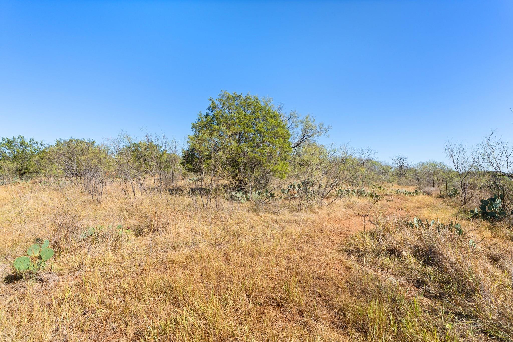 Tbd Sandy Mountain Dr. Tract 1 None Property Photo 17