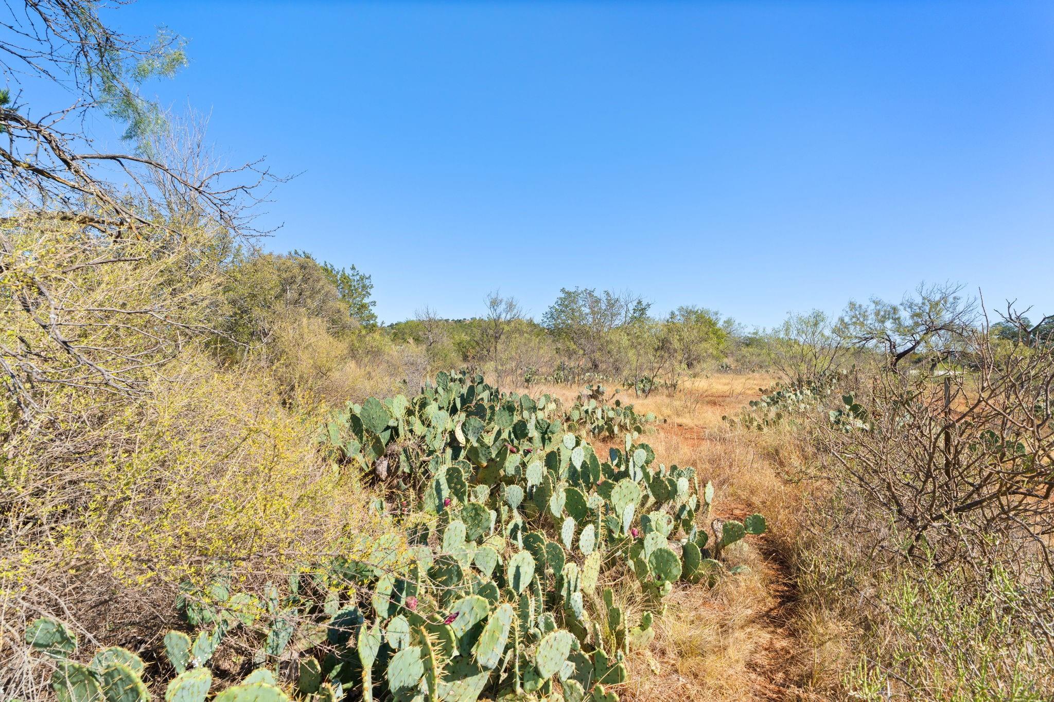 Tbd Sandy Mountain Dr. Tract 1 None Property Photo 19