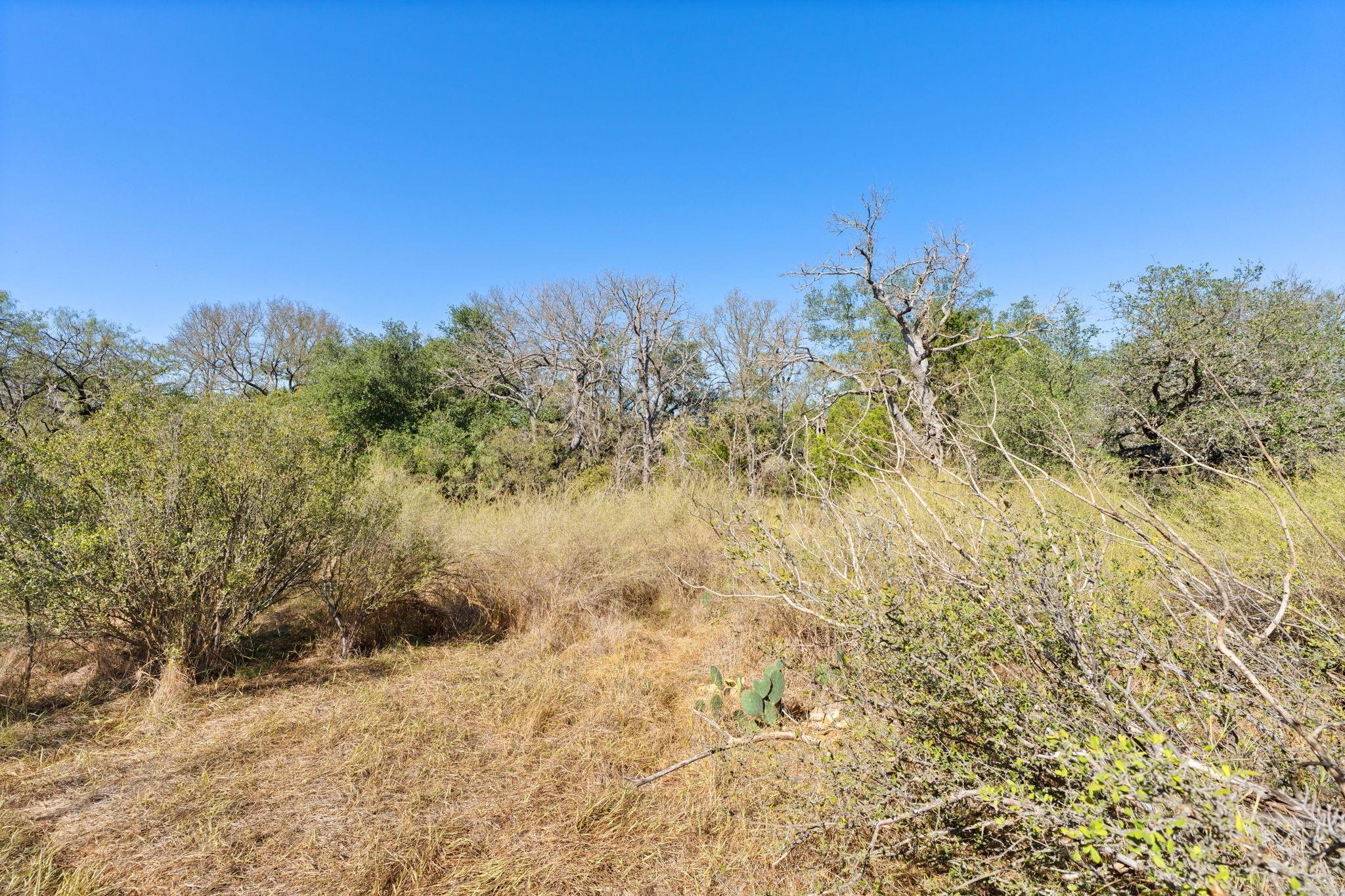 Tbd Sandy Mountain Dr. Tract 1 None Property Photo 20