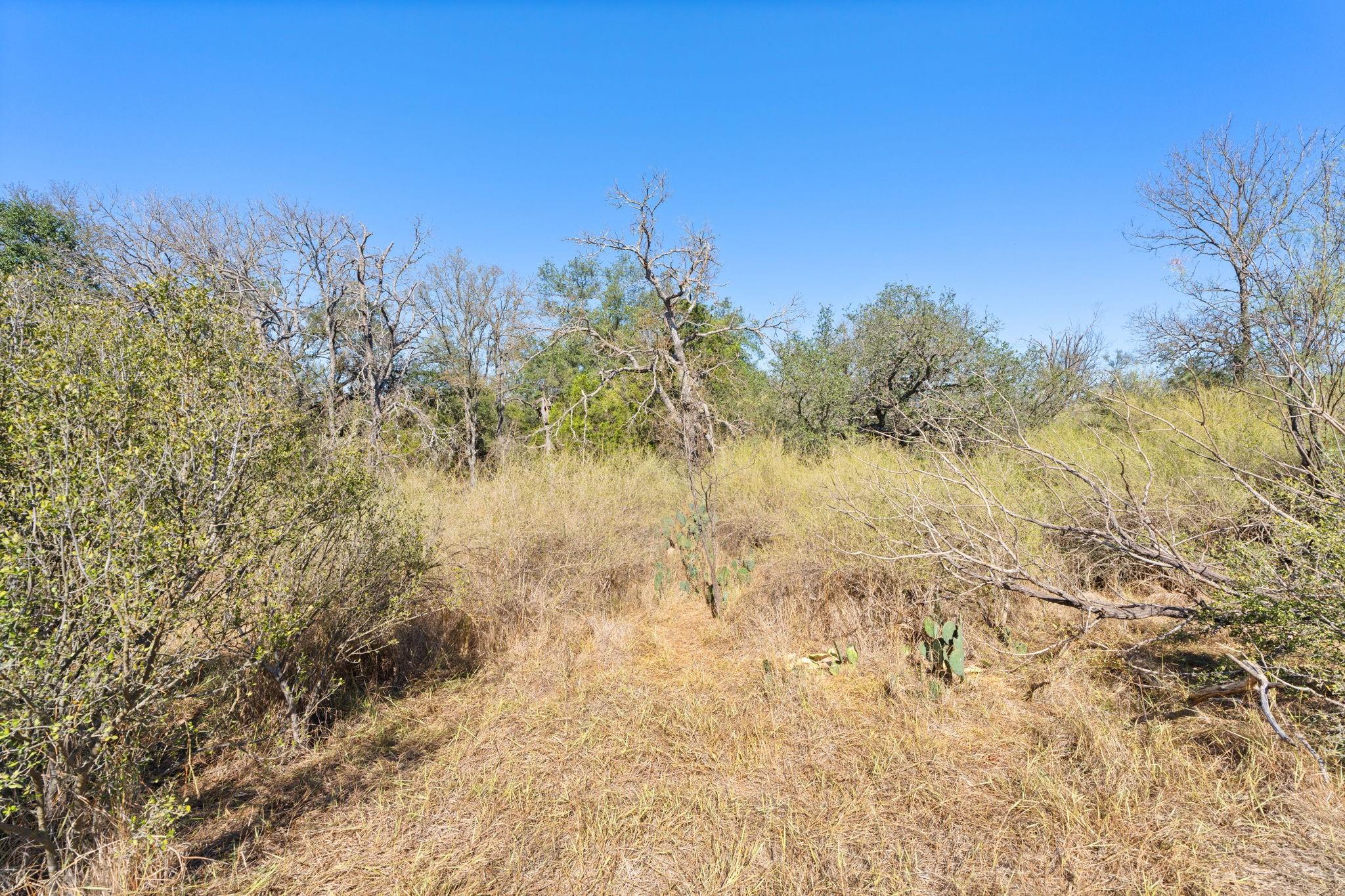 Tbd Sandy Mountain Dr. Tract 1 None Property Photo 21