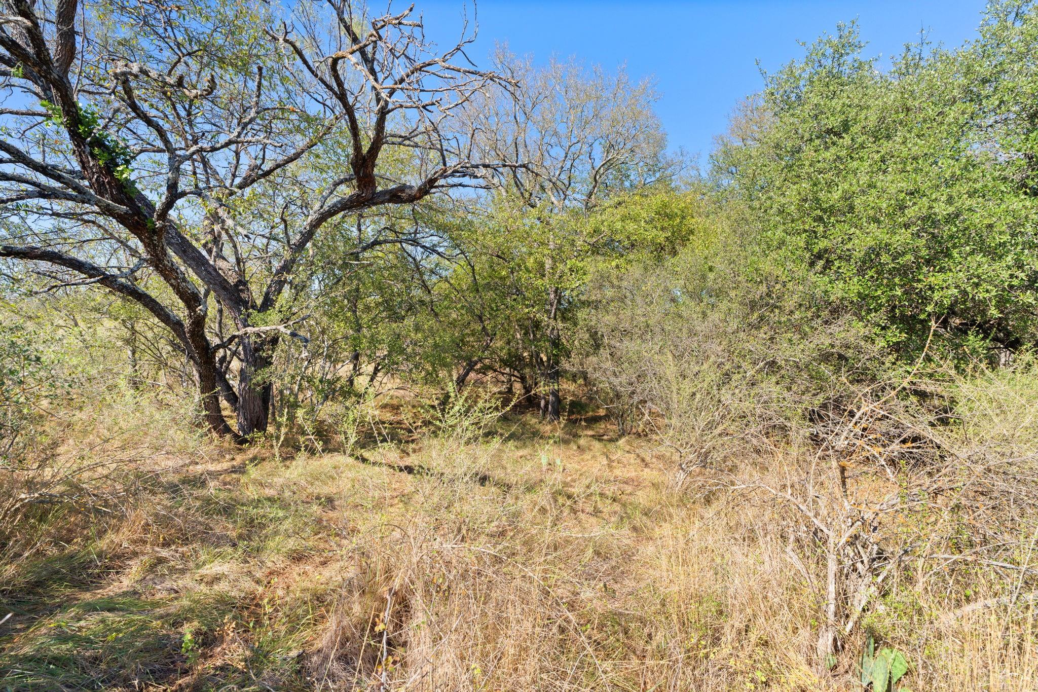 Tbd Sandy Mountain Dr. Tract 1 None Property Photo 22