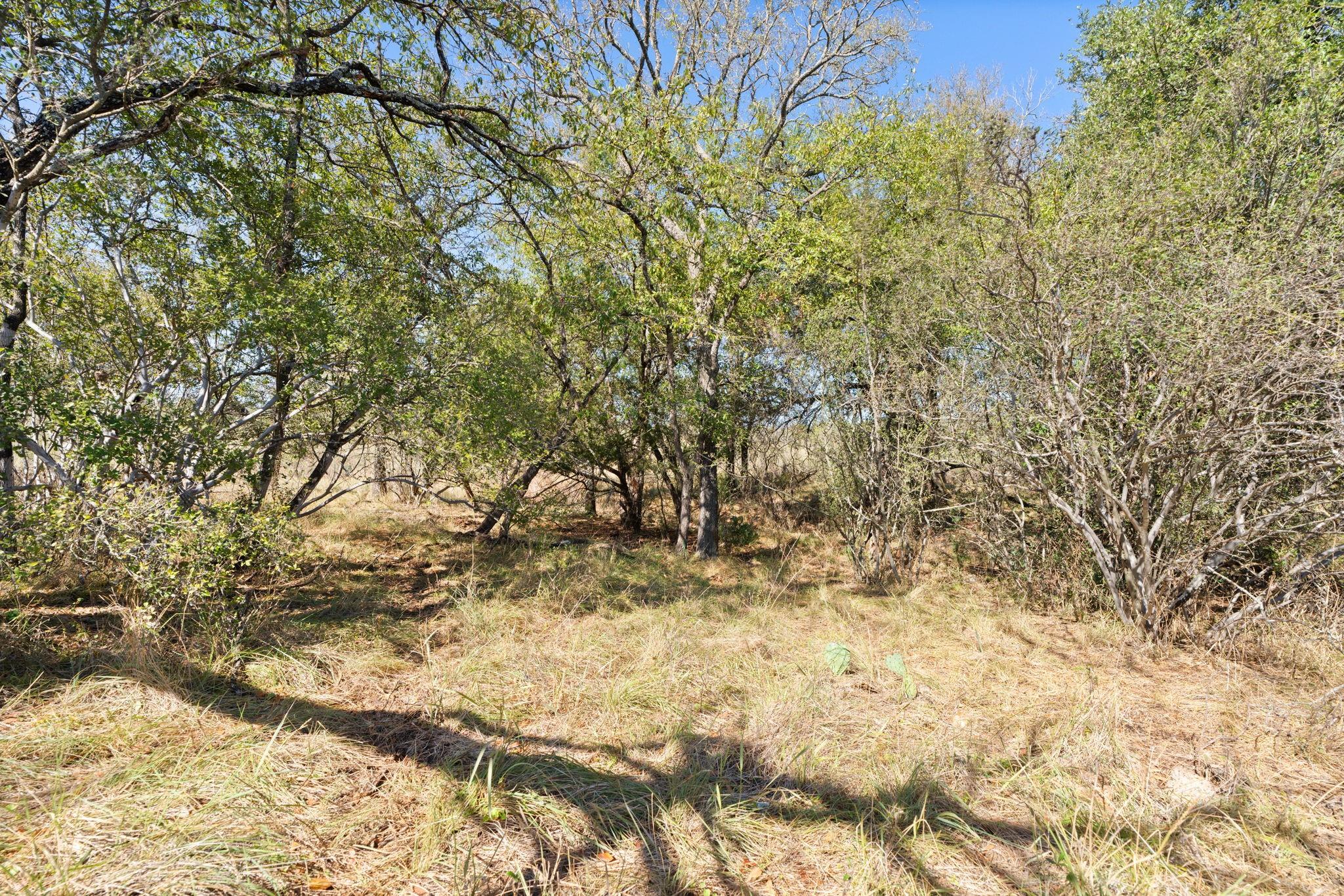 Tbd Sandy Mountain Dr. Tract 1 None Property Photo 23