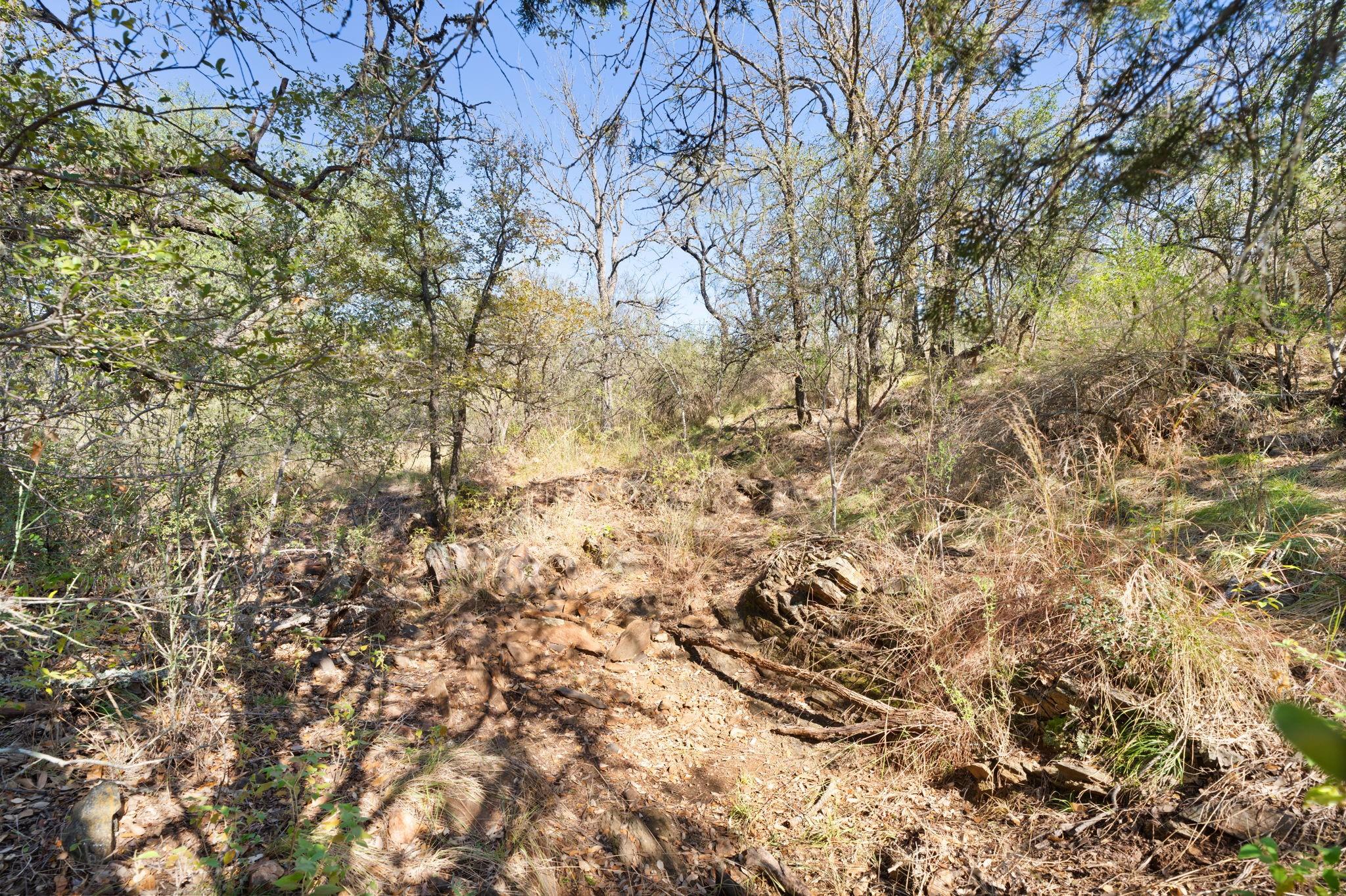 Tbd Sandy Mountain Dr. Tract 1 None Property Photo 26