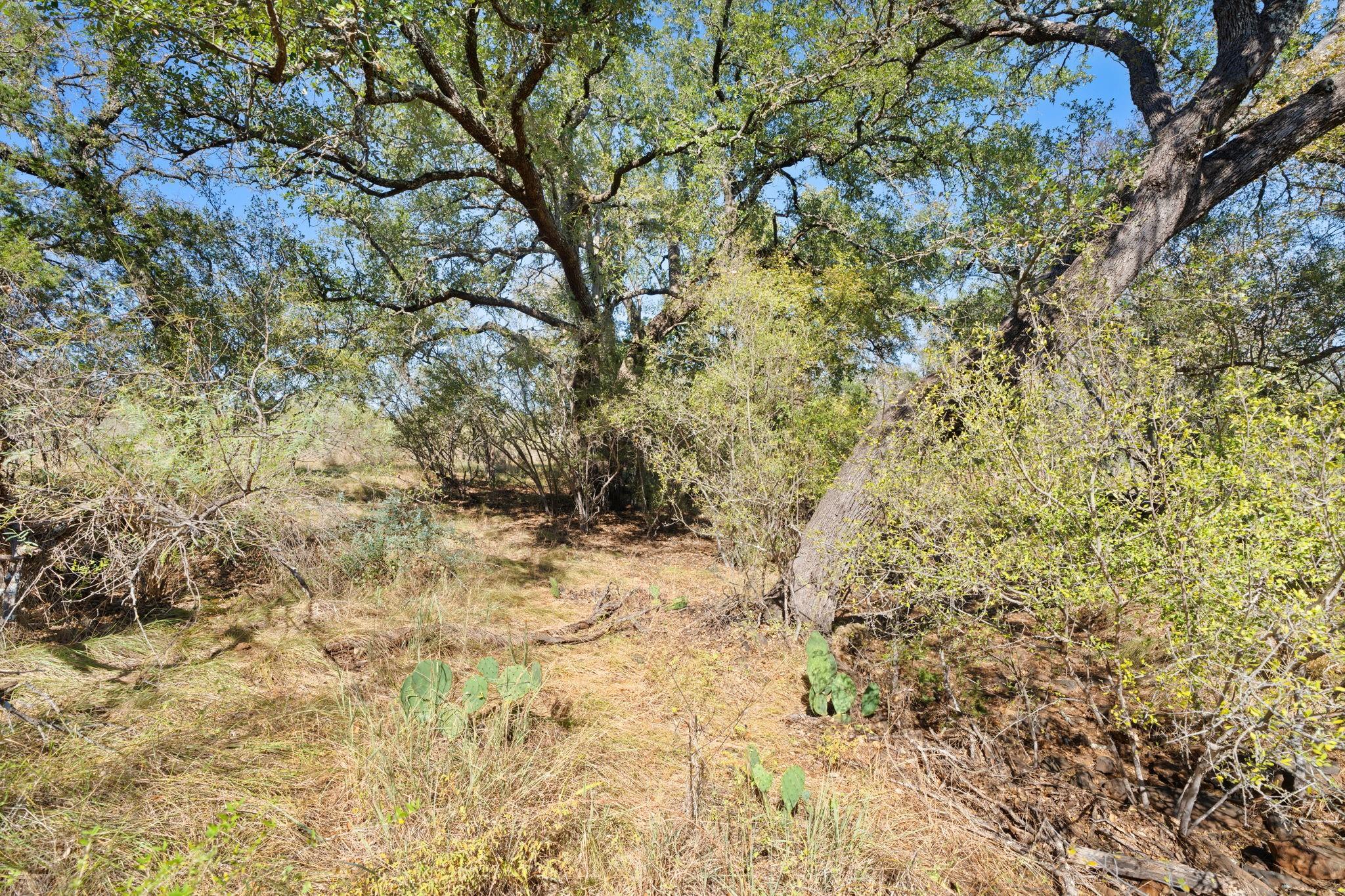 Tbd Sandy Mountain Dr. Tract 1 None Property Photo 28