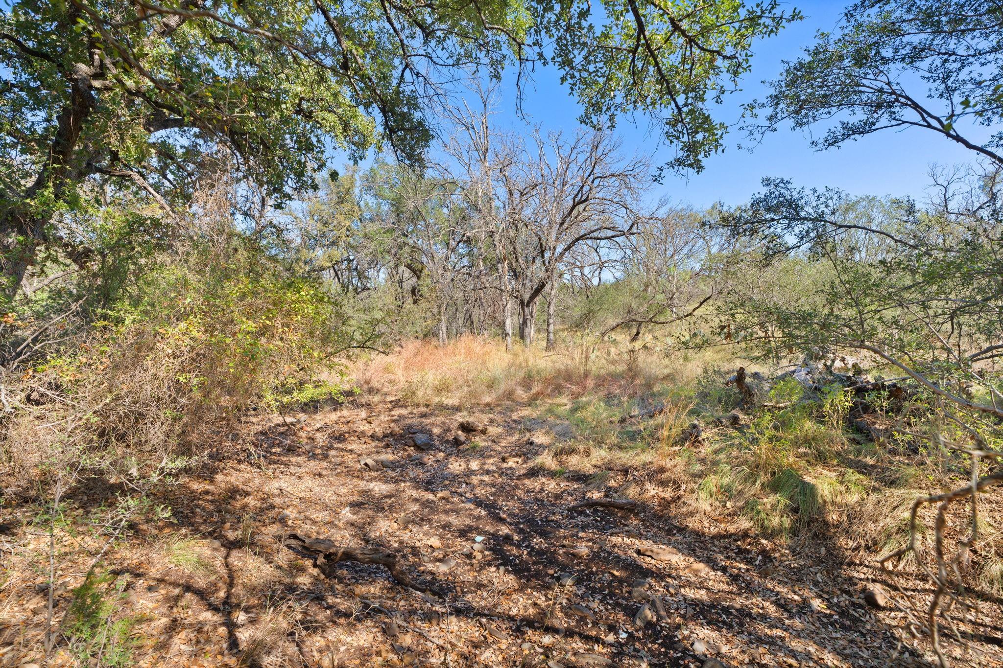 Tbd Sandy Mountain Dr. Tract 1 None Property Photo 29