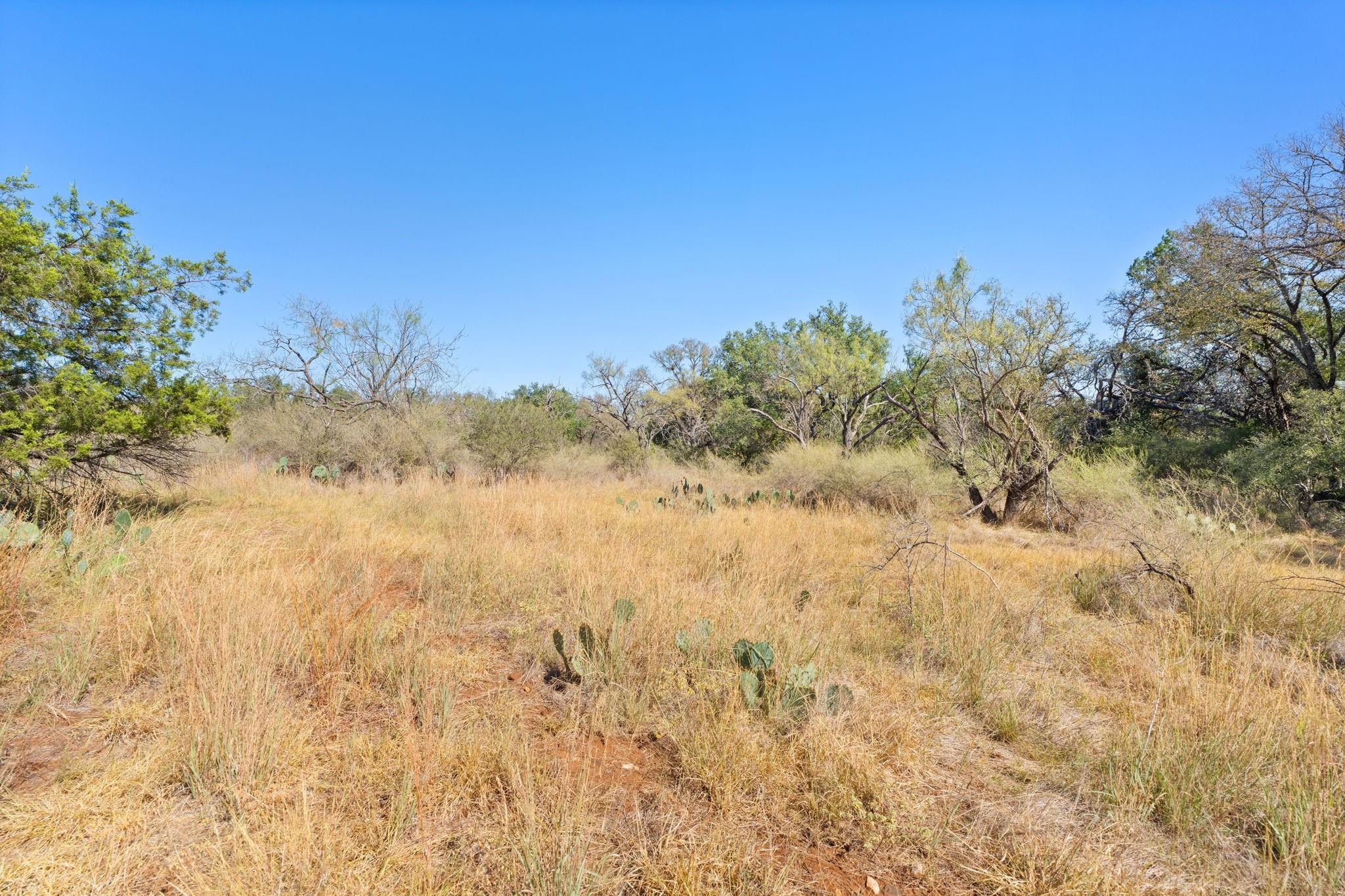 Tbd Sandy Mountain Dr. Tract 1 None Property Photo 30