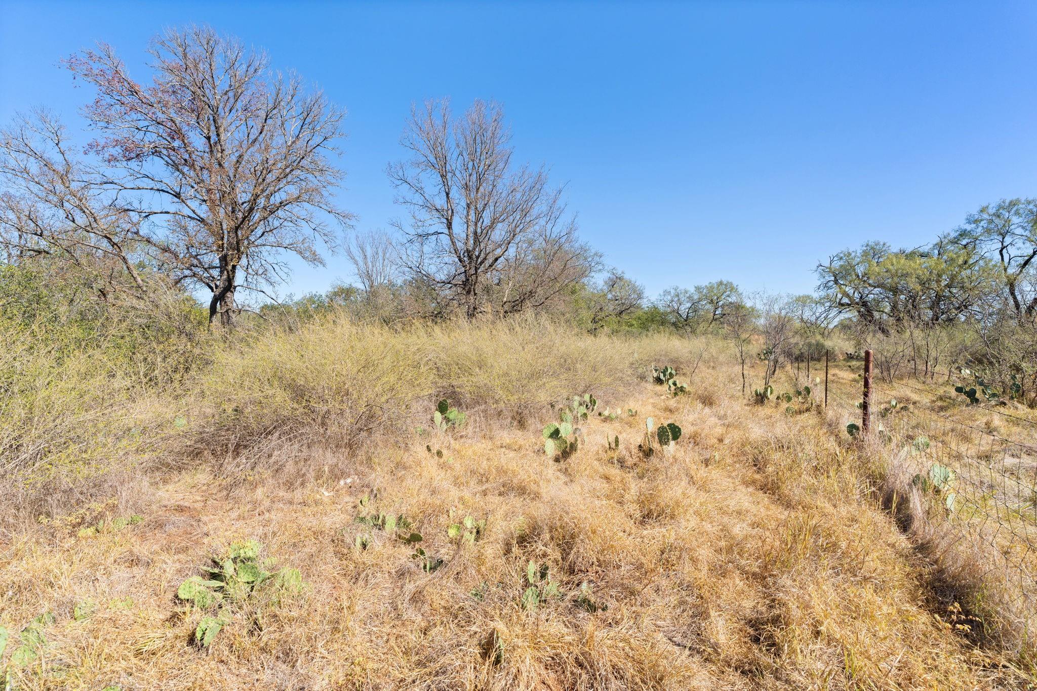 Tbd Sandy Mountain Dr. Tract 1 None Property Photo 32