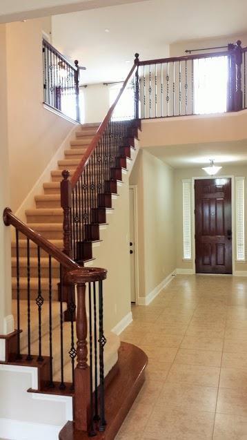 8512 Alophia Dr Property Photo 21