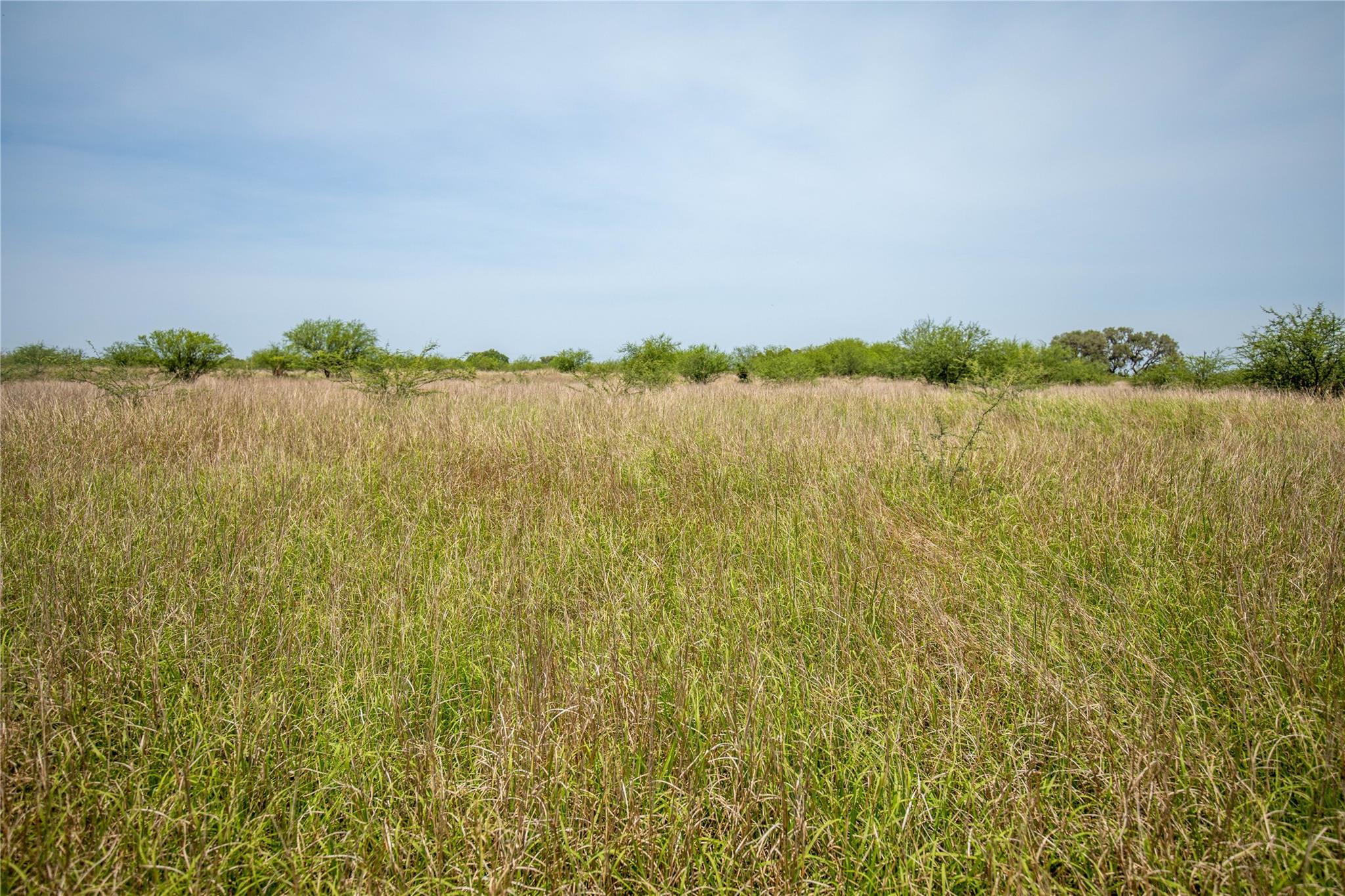 0 Green Dewitt Rd Property Photo 12