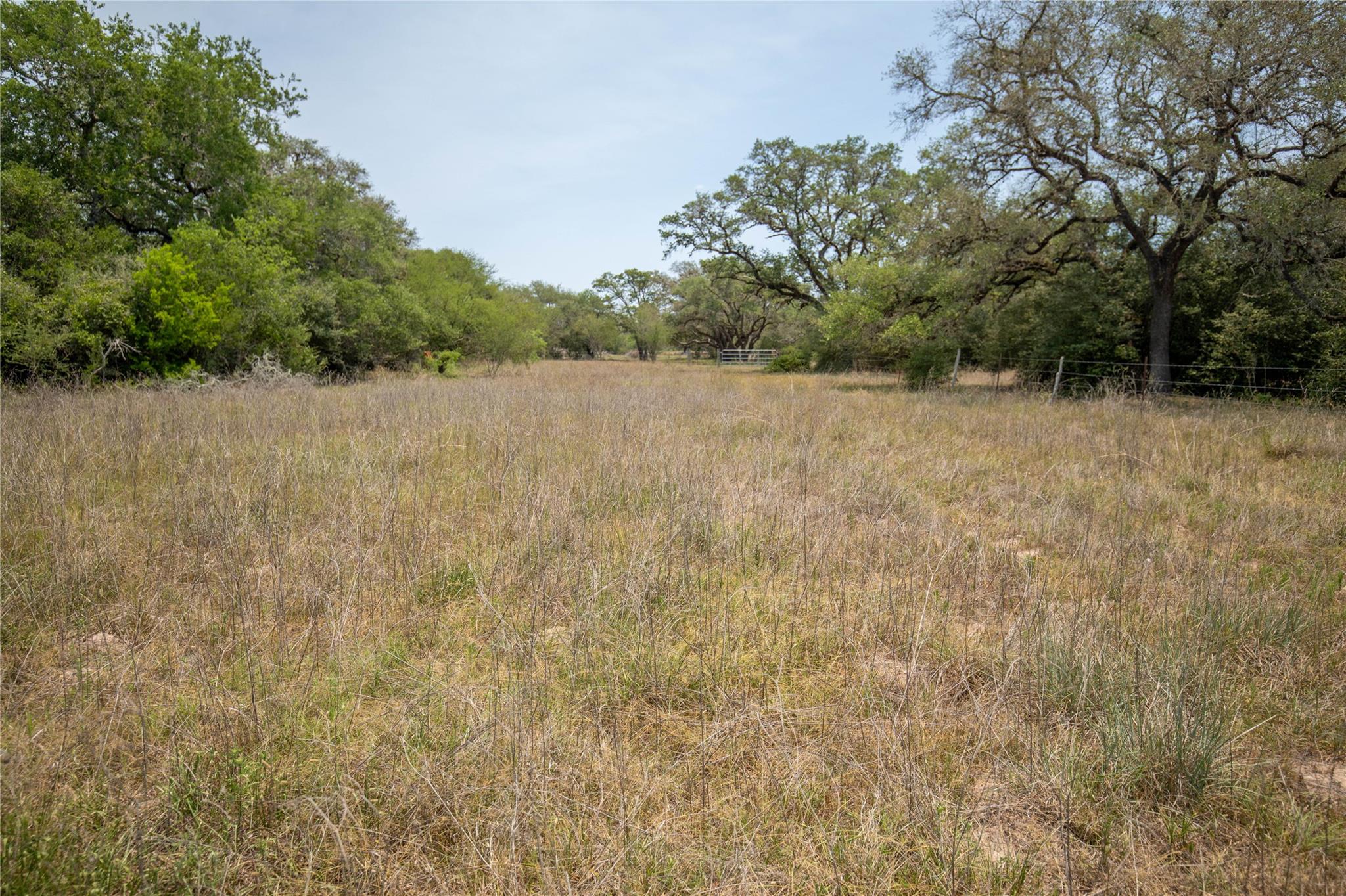 0 Green Dewitt Rd Property Photo 23