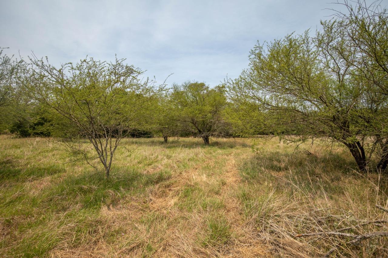 0 Green Dewitt Rd Property Photo 30