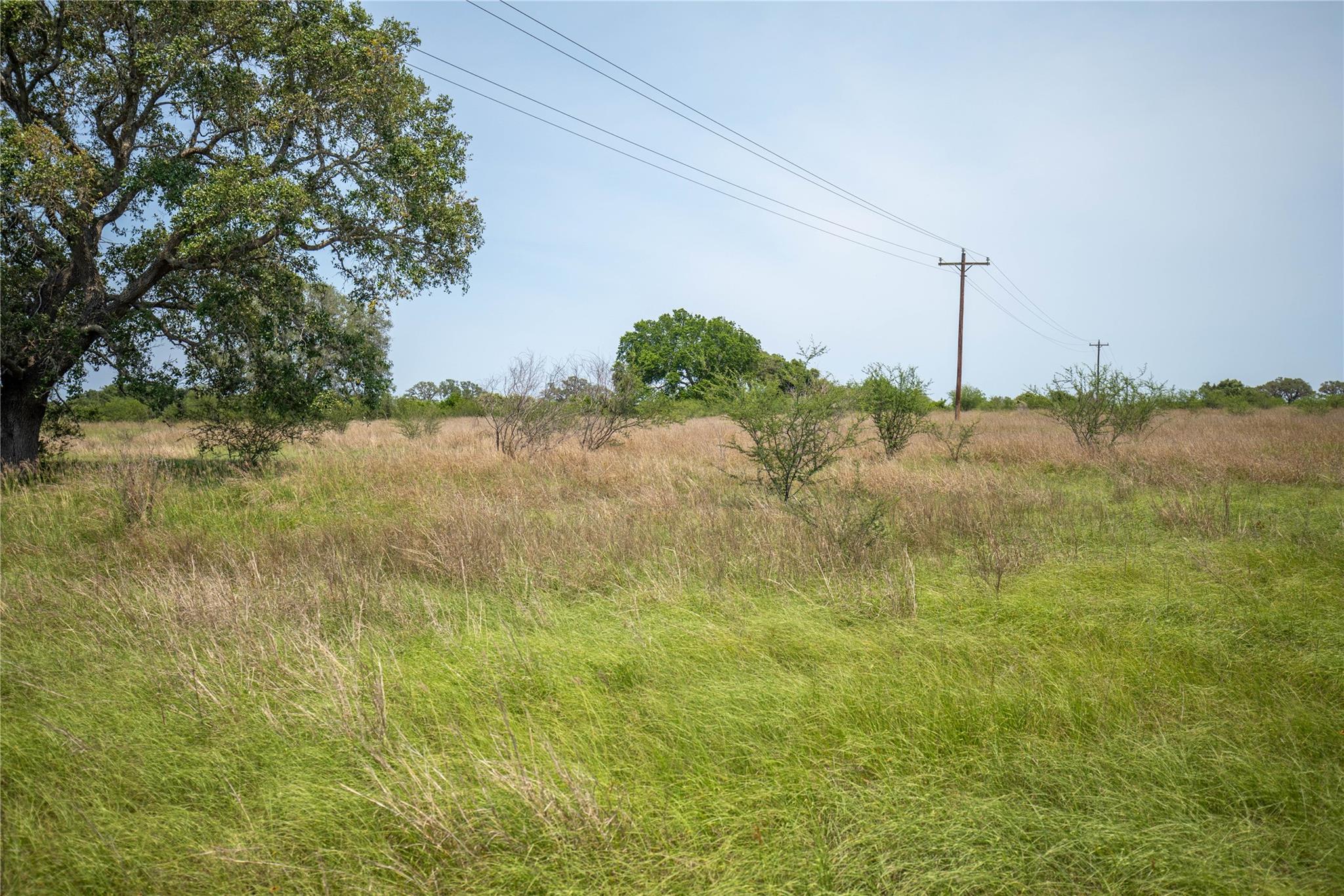 0 Green Dewitt Rd Property Photo 36