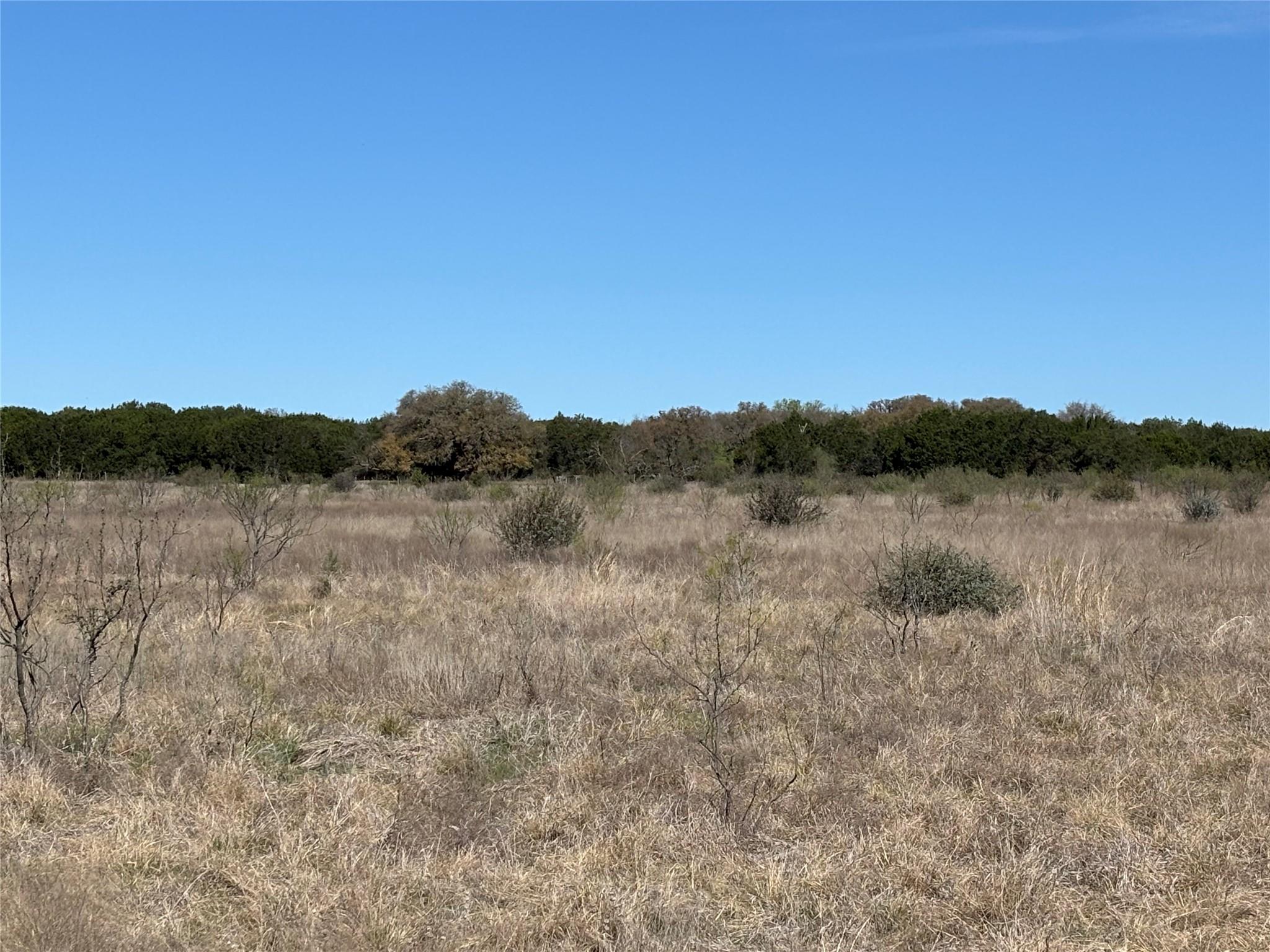 108 Live Oak Mott Dr Property Photo 5