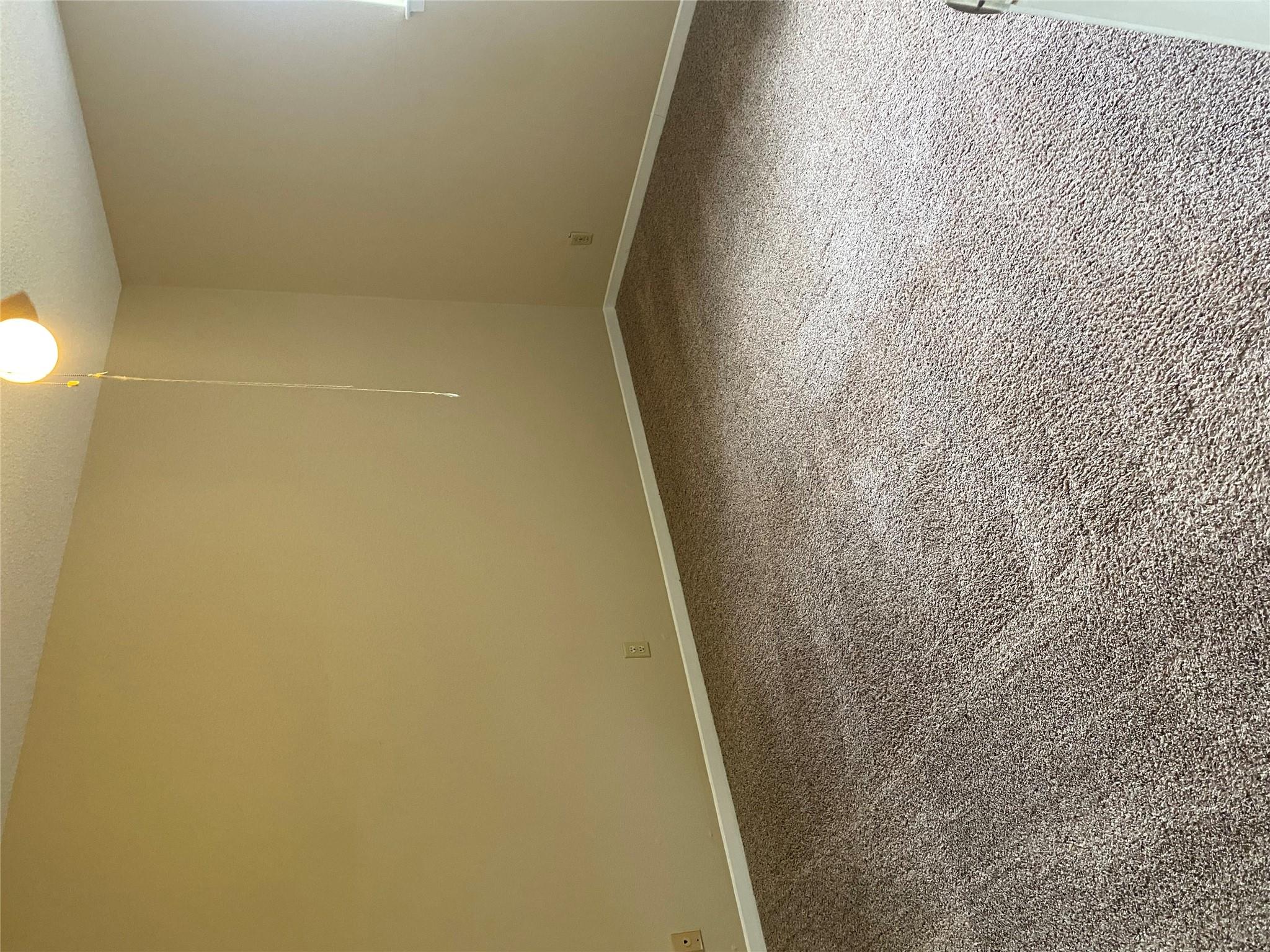 1601 Enfield Rd #5 Property Photo 12