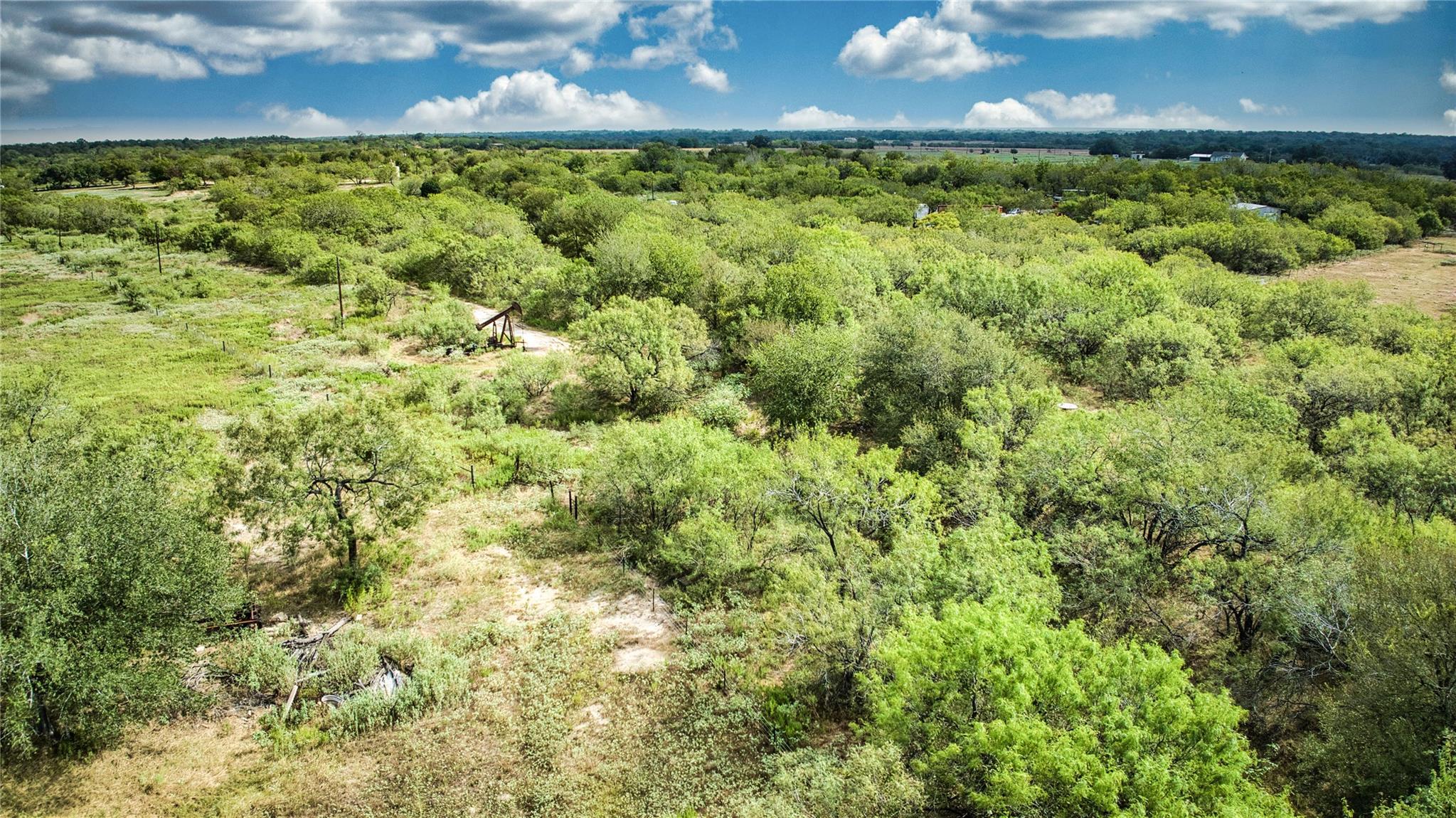 2900 Salt Flat Rd Property Photo 1