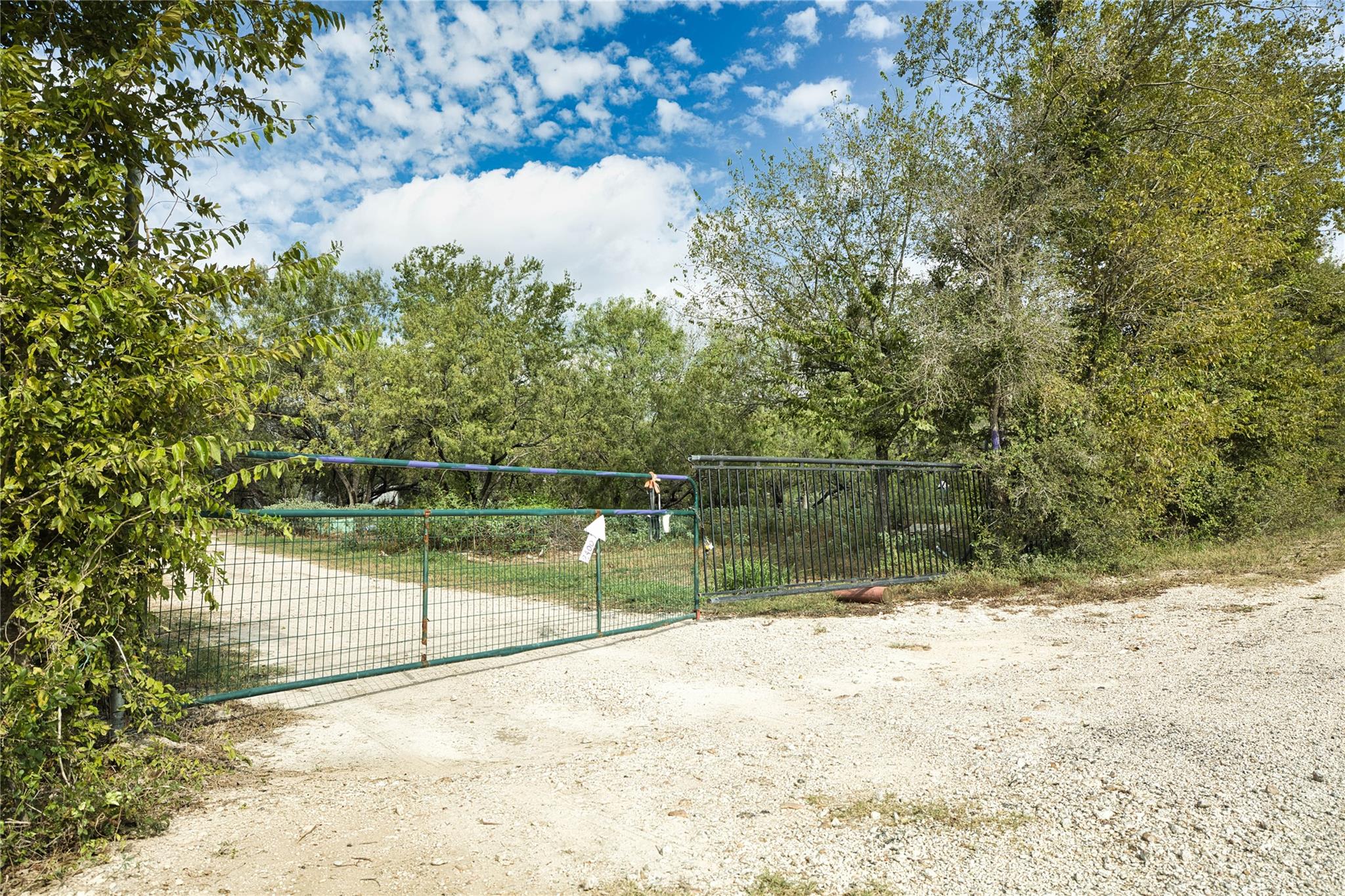 2900 Salt Flat Rd Property Photo 4
