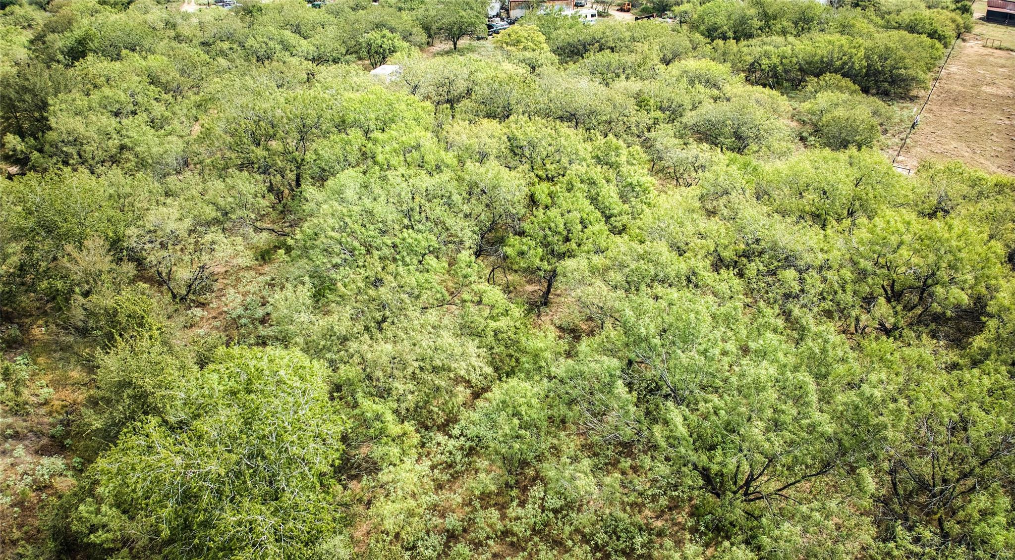 2900 Salt Flat Rd Property Photo 6